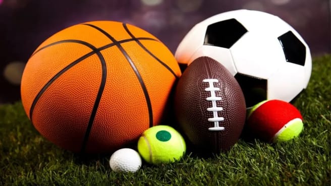 All the sports balls such as Football, Soccer, basketball, tennis, and more.