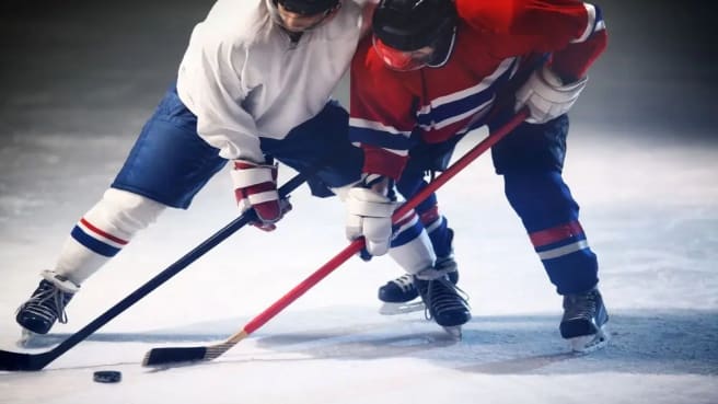 Two Hockey (NHL) trying to get the hockey puck.