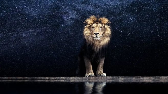 Mufasa - the father of Simba from the Lion King Movie, standing over the lake.