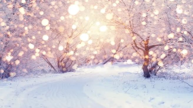 Sunshine in the snowy winter.