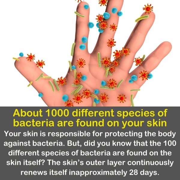 Weird Facts About Humans weird-facts-about-humans