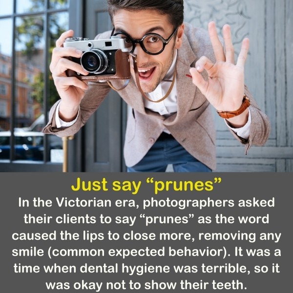 Weird Fun Facts Vlrengbr 2780