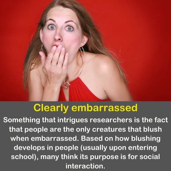 50 Weird Fun Facts (Unbelievable Crazy Facts) | Quiz Beez 50 Weird Fun Facts (Unbelievable Crazy Facts) | Quiz Beez