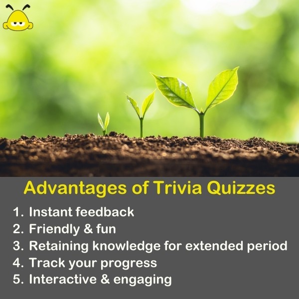 How To Improve General Knowledge? (Fun Ways) | Quiz Beez