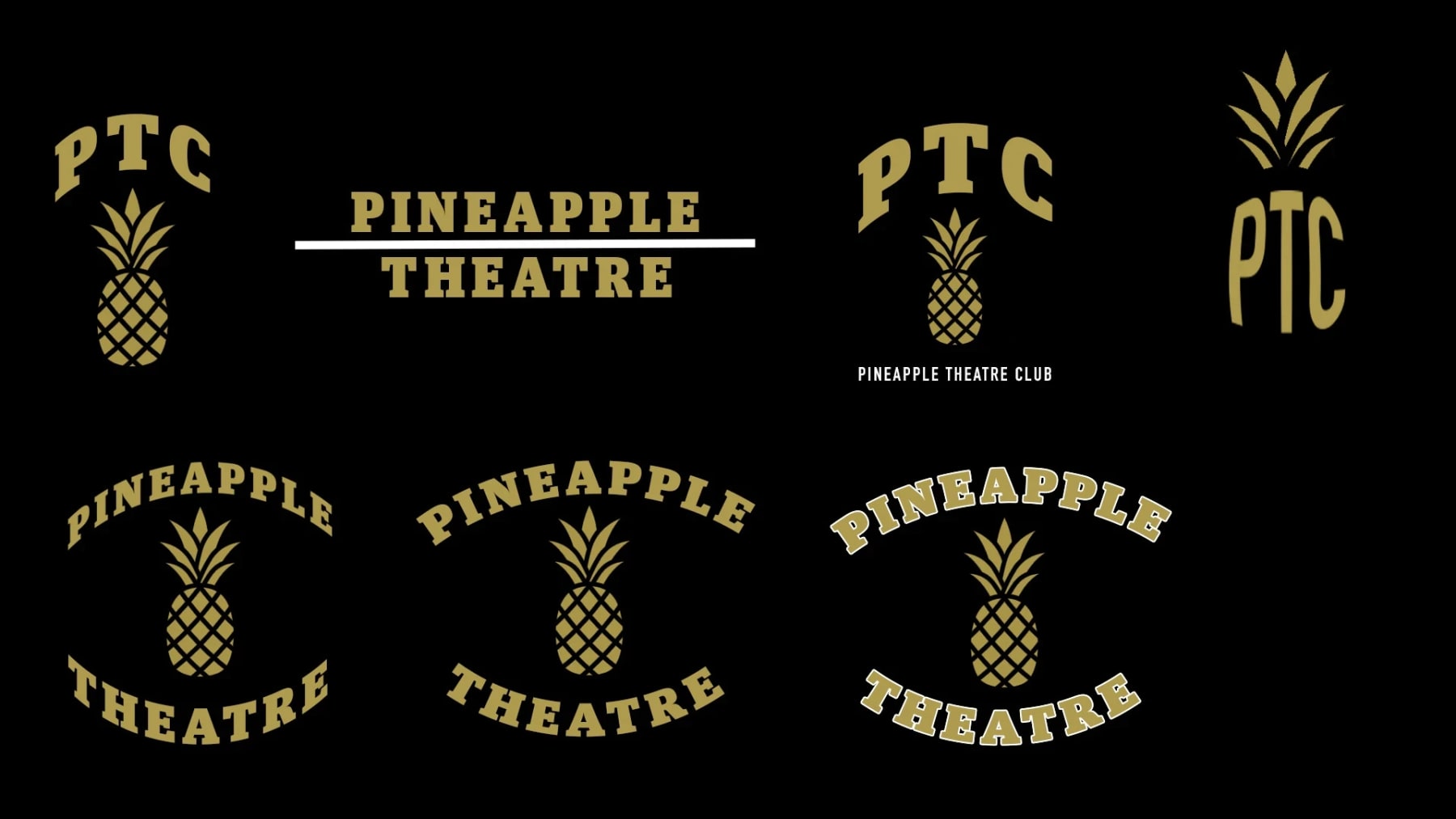 Alternate Logo Concept