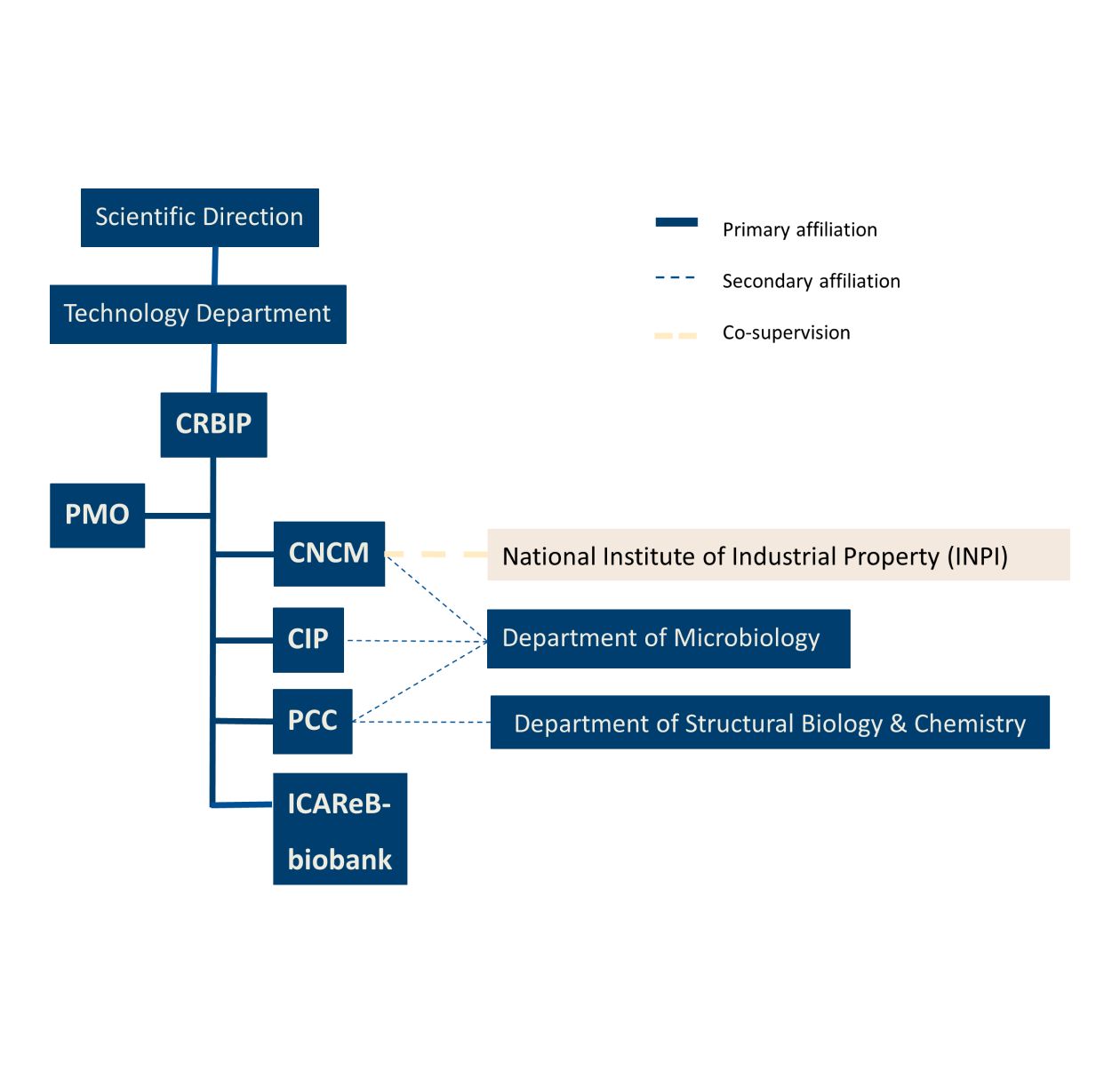 Organizational chart of the CRBIP