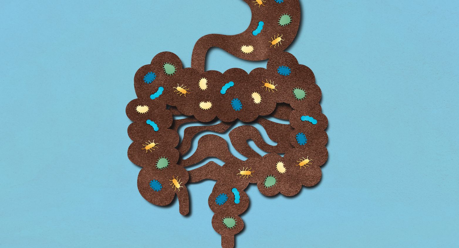 The gut and its microbiota