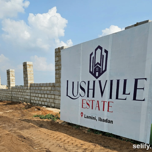 Premium Land in Ibadan for Sale with Certificate of Occupancy - image 1