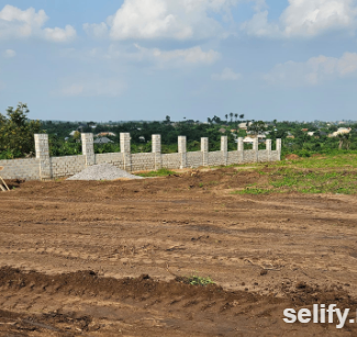 Premium Land in Ibadan for Sale with Certificate of Occupancy thumbnail 3