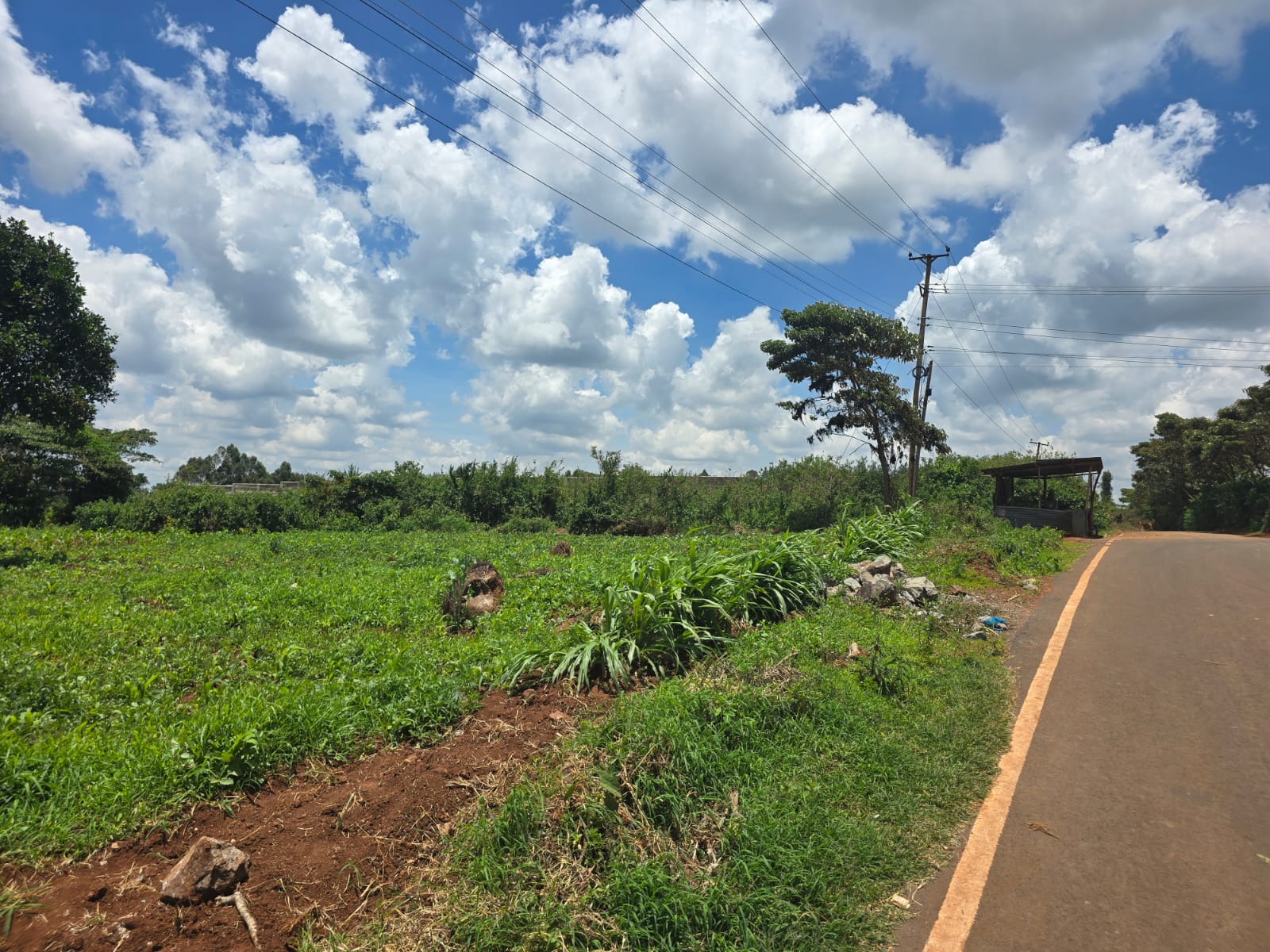 Prime residential  1/8 acre in Kikuyu