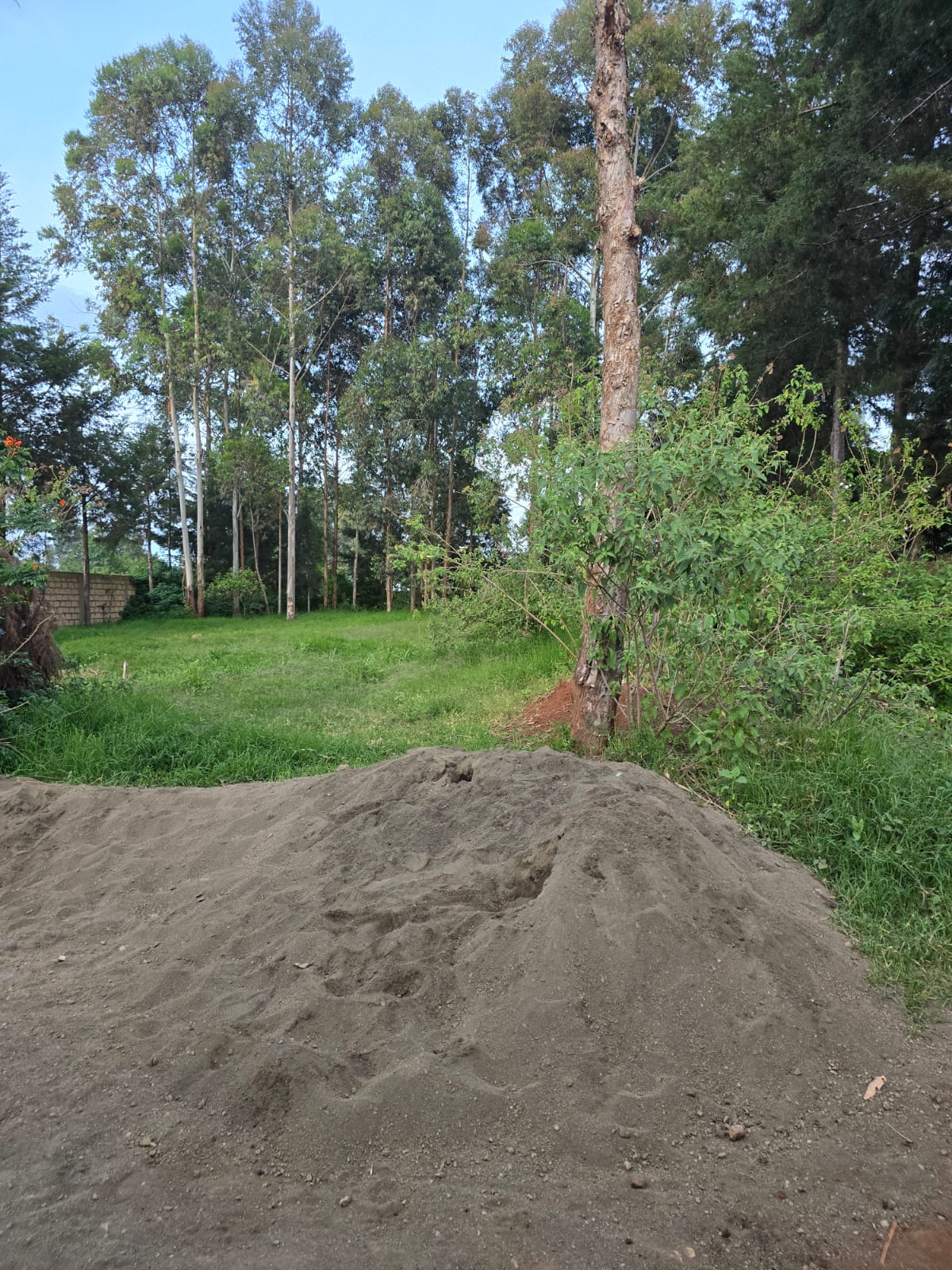 Prime 1/4 acre in Kikuyu -(Jambo tv)
