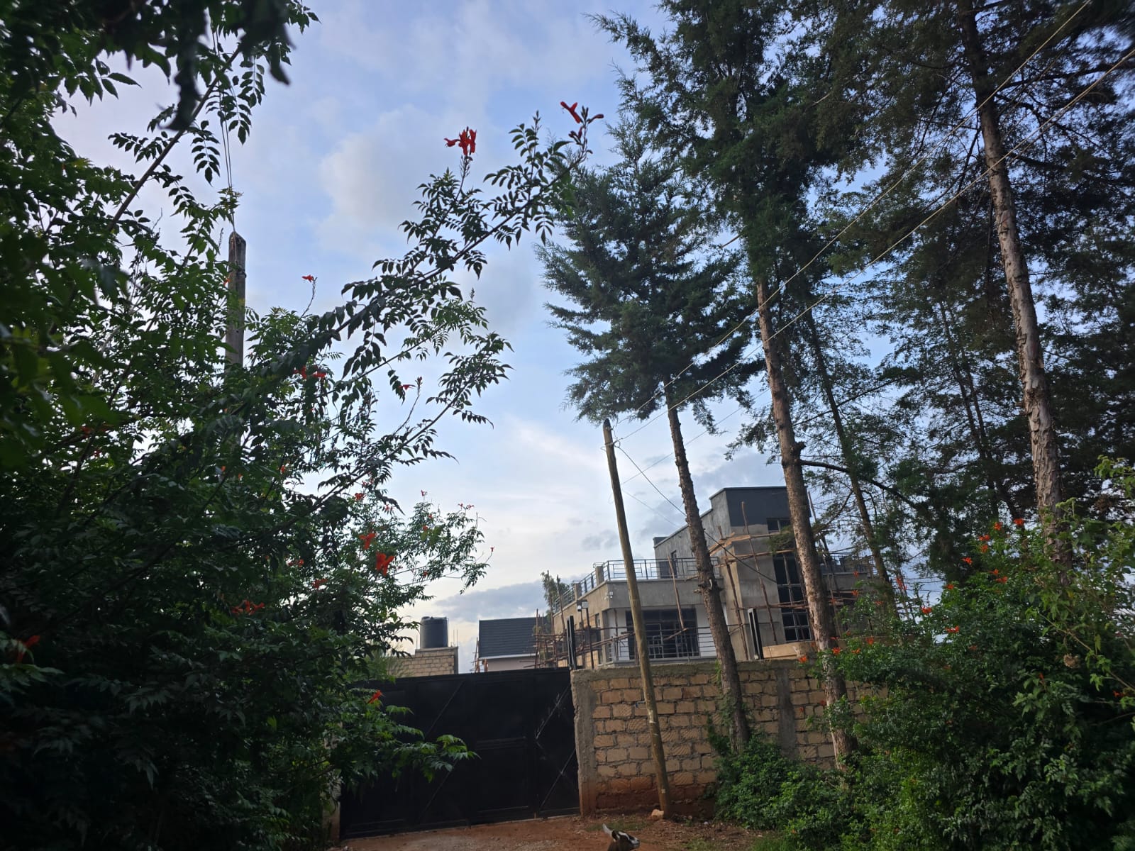Property Thumbnail