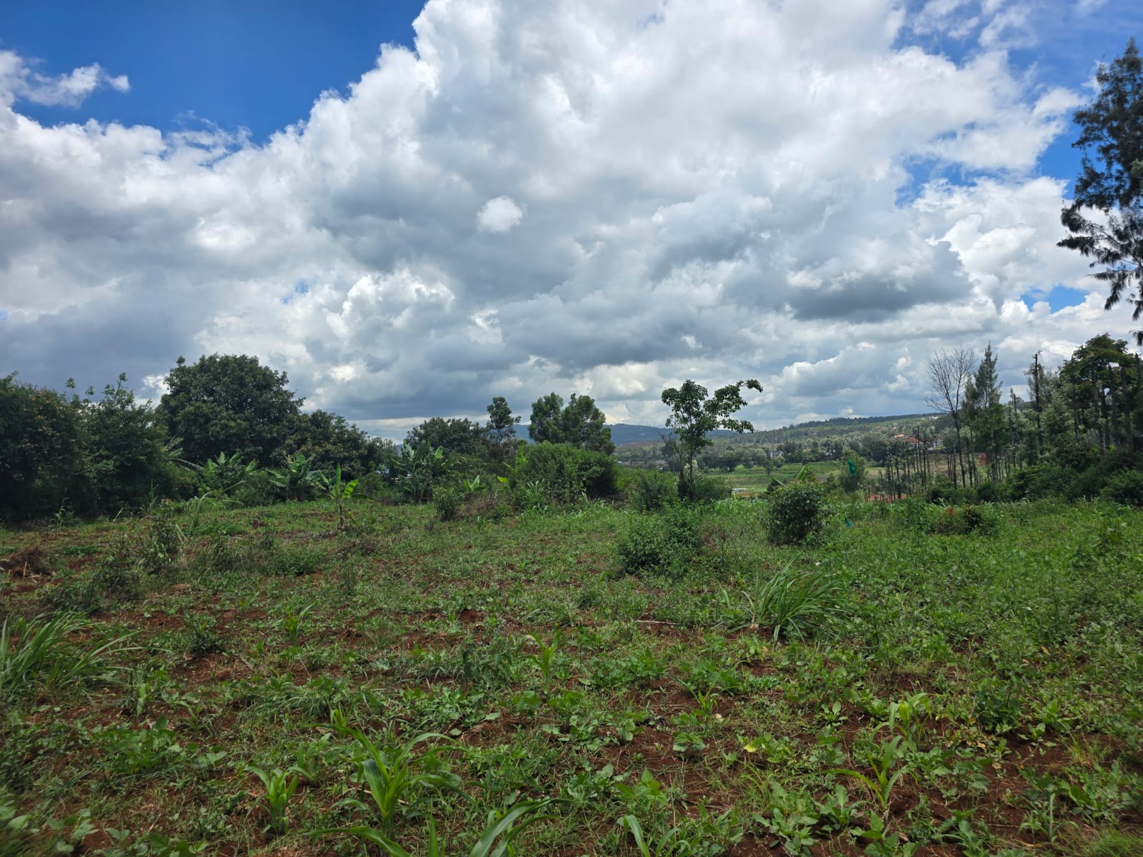 Exclusive 1/4 Acre Gated Community Plots – Karen End | Ksh 17M (Slightly negotiable)