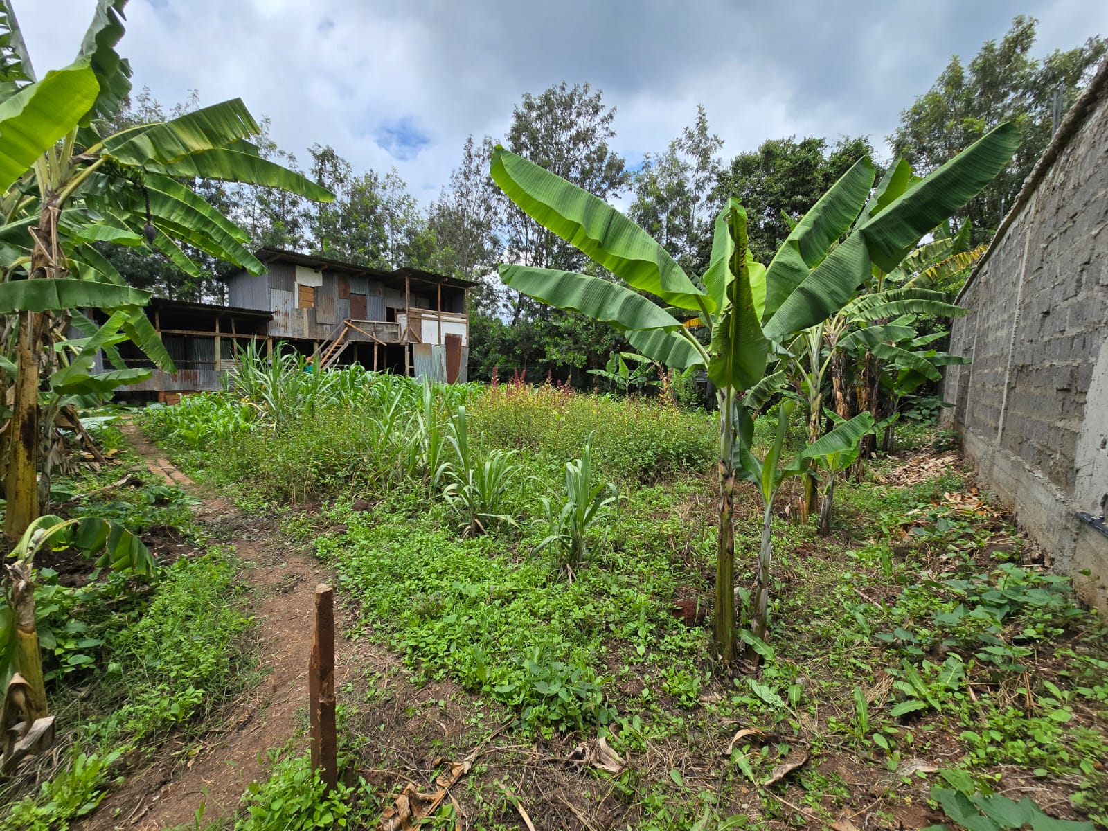 Property Thumbnail