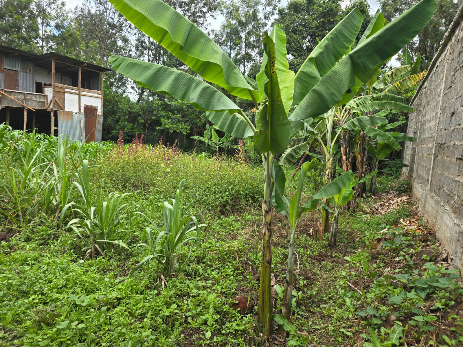 Prime 1/8 Acre Plot for Sale –  Karen-end along (Rhino Park Road) | Ksh 10M