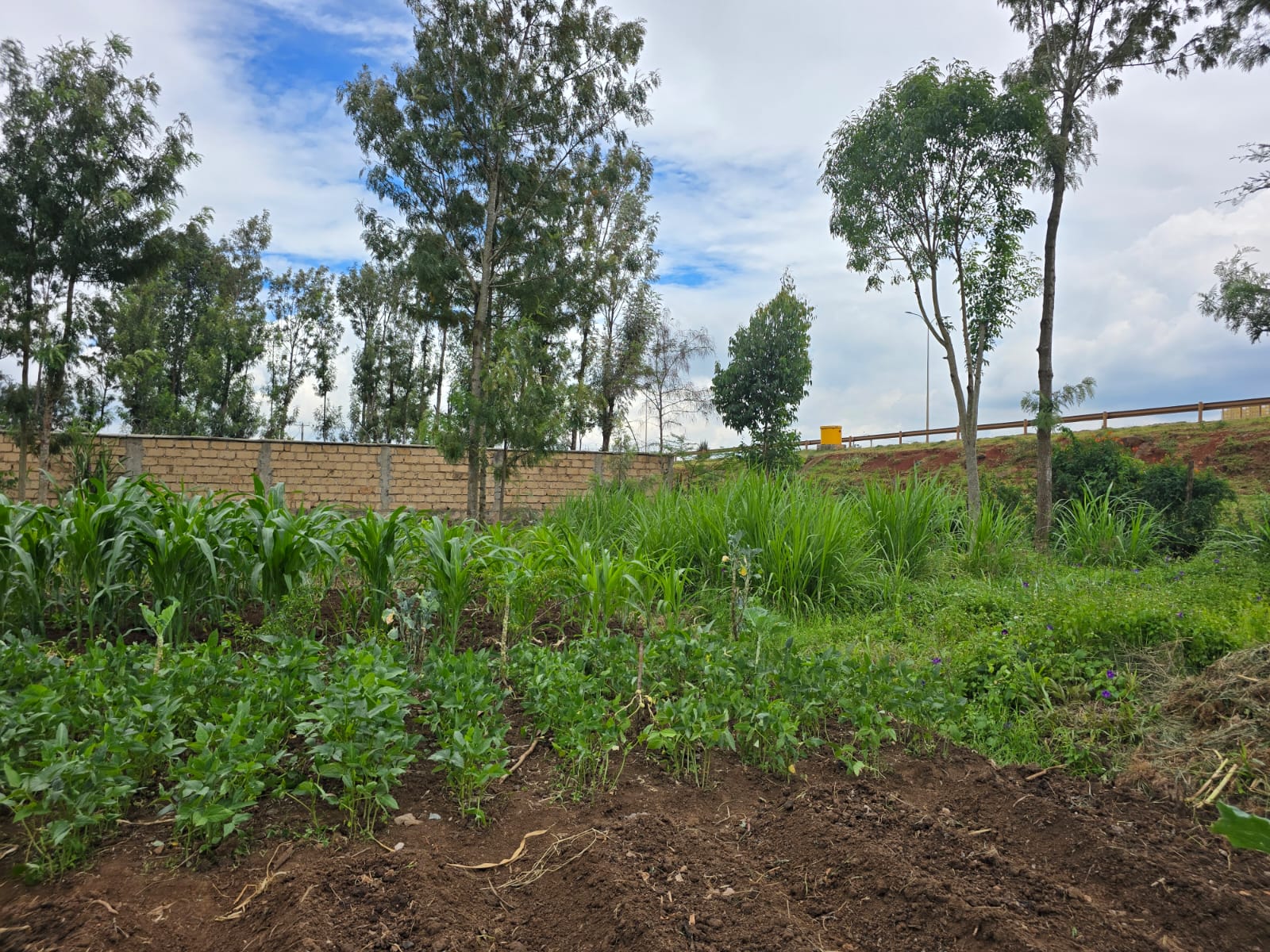 Prime 1/4 Acre Plot for Sale – Dagoretti (Off Southern Bypass) | KSh 25M