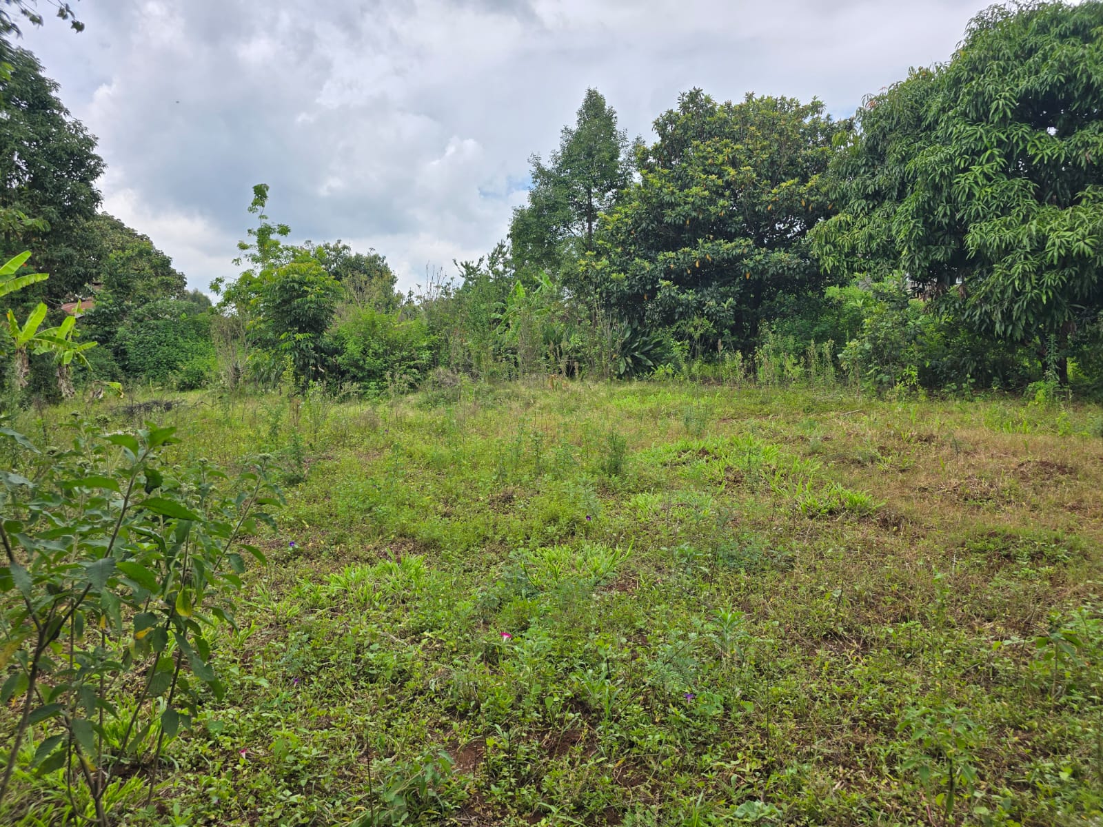 Property Thumbnail
