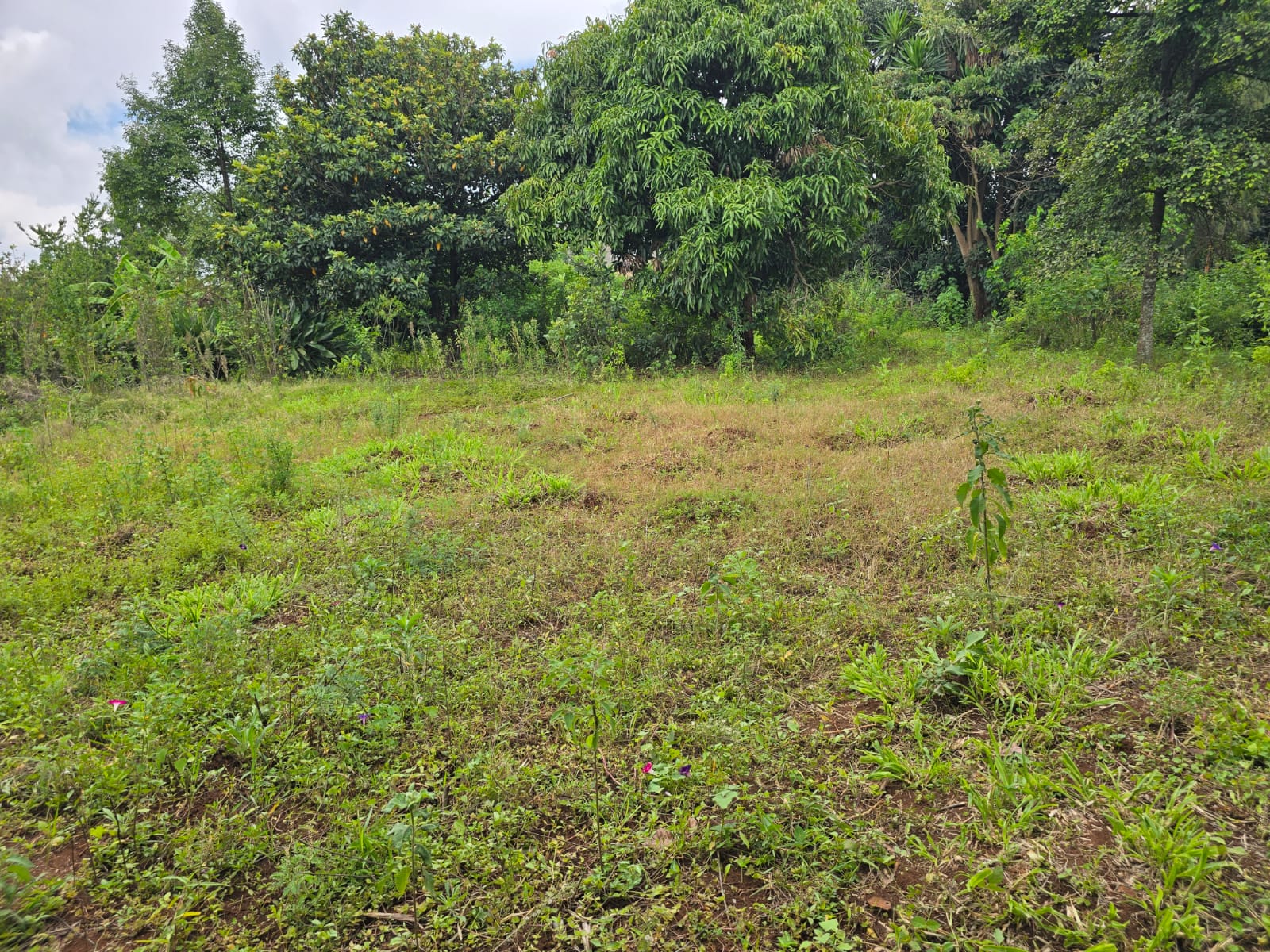 Property Thumbnail