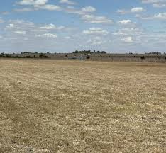 10 Acres Prime Farmland in Kitale, Trans-Nzoia County