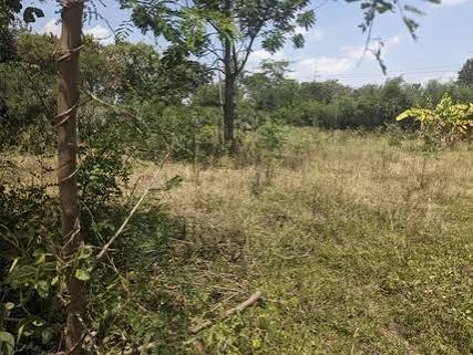 5 Acres Agricultural Land off Moi South Lake Road, Naivasha, Nakuru County
