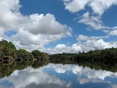 Half-Acre Commercial Plot on Mombasa–Malindi Highway, Kilifi County