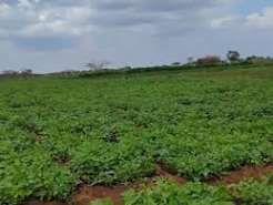 2 Acres with Mt. Kenya Views in Nanyuki, Laikipia County