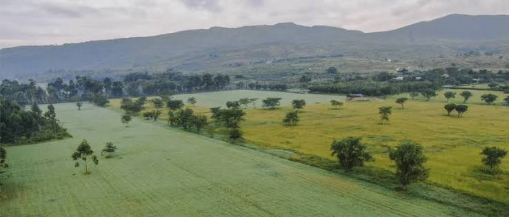 1/8 Acre Residential Plot for Sale in Kitengela, Kajiado County