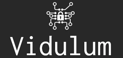 vidulum logo