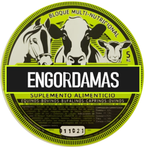 ENGORDAMÁS logo