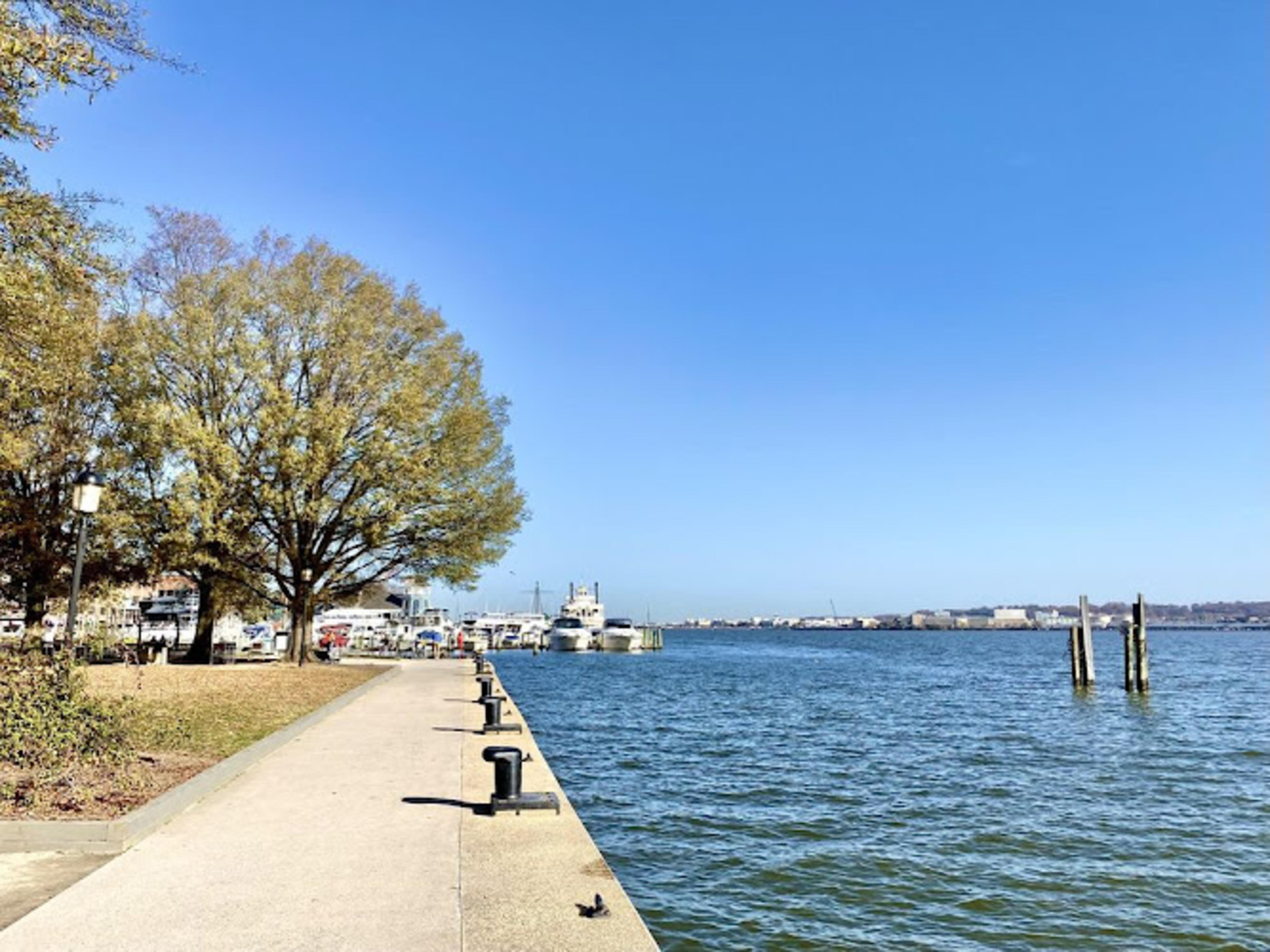 Waterfront Park