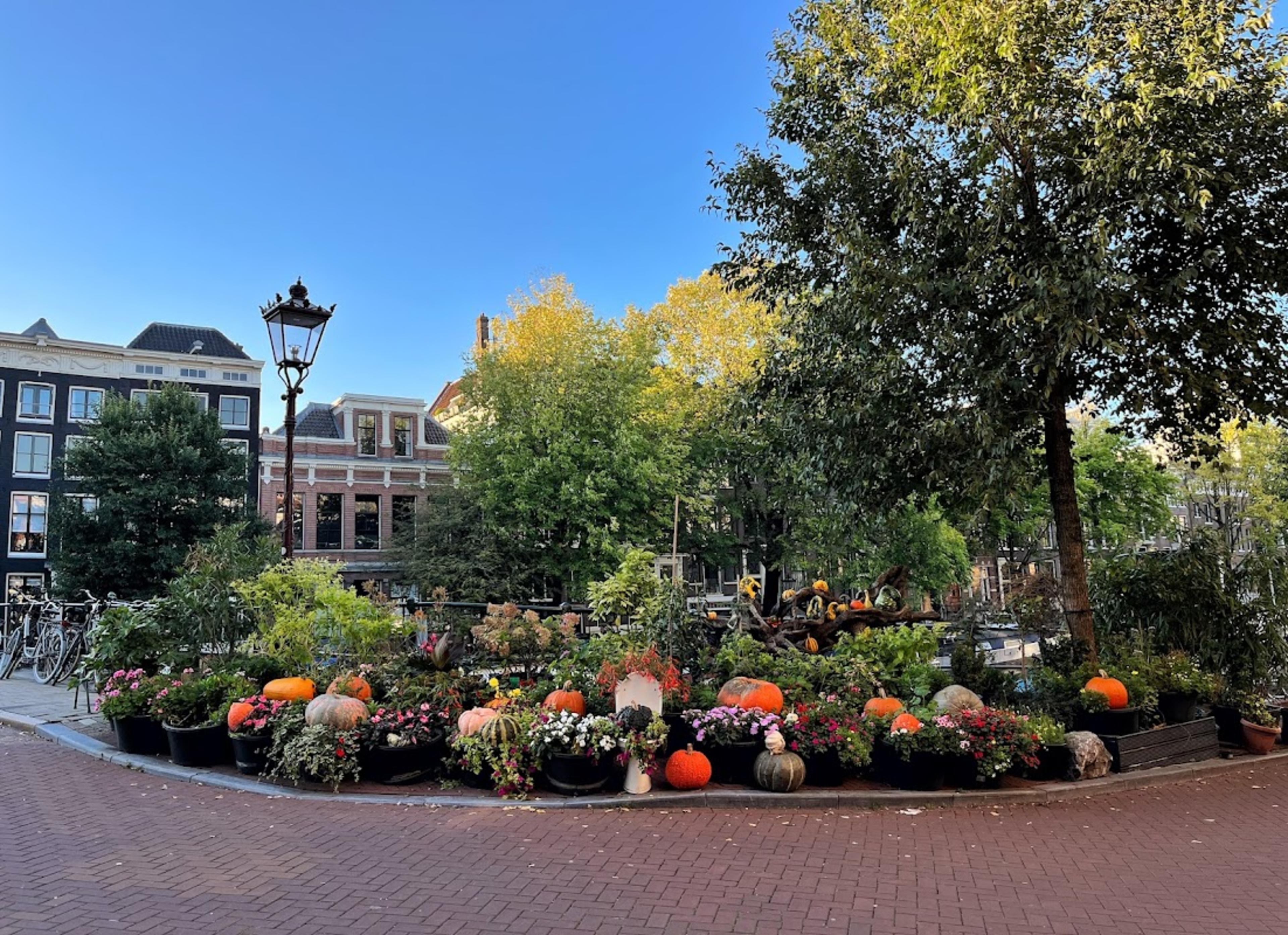 Queer Garden