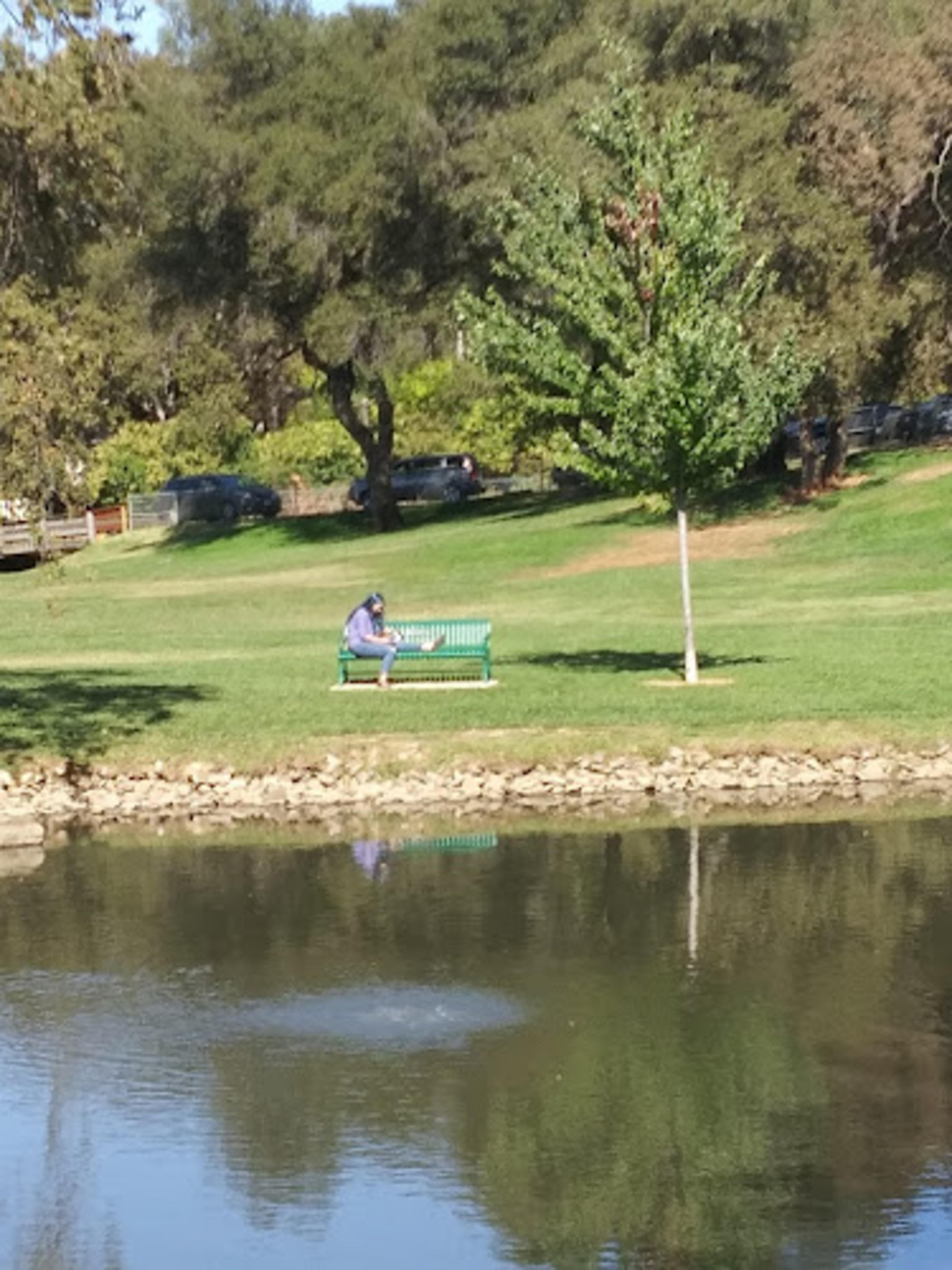 Ashford Park