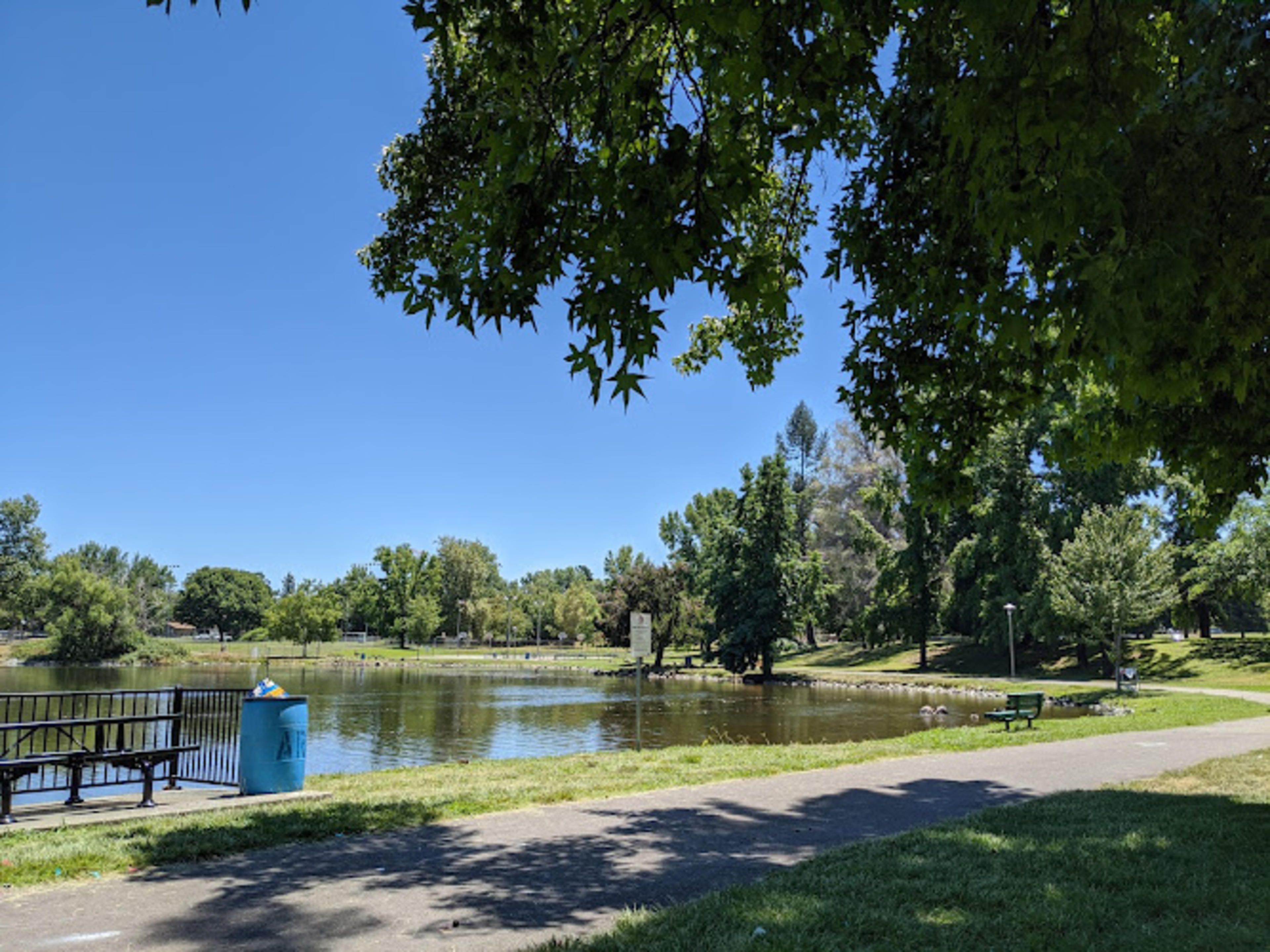 Regional Park Auburn Disc Golf Course