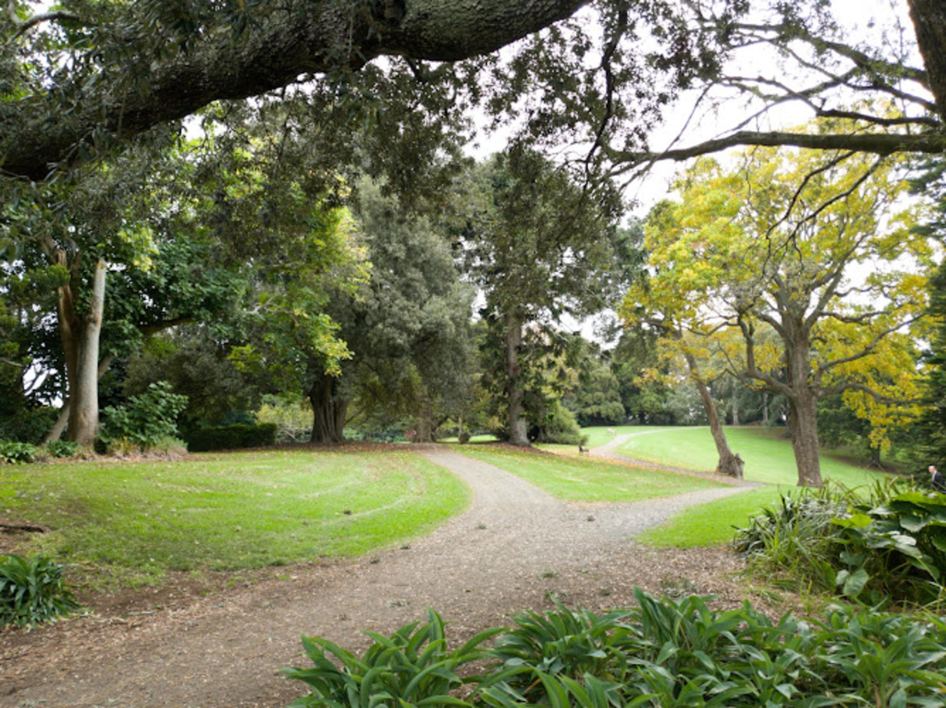 Monte Cecilia Park