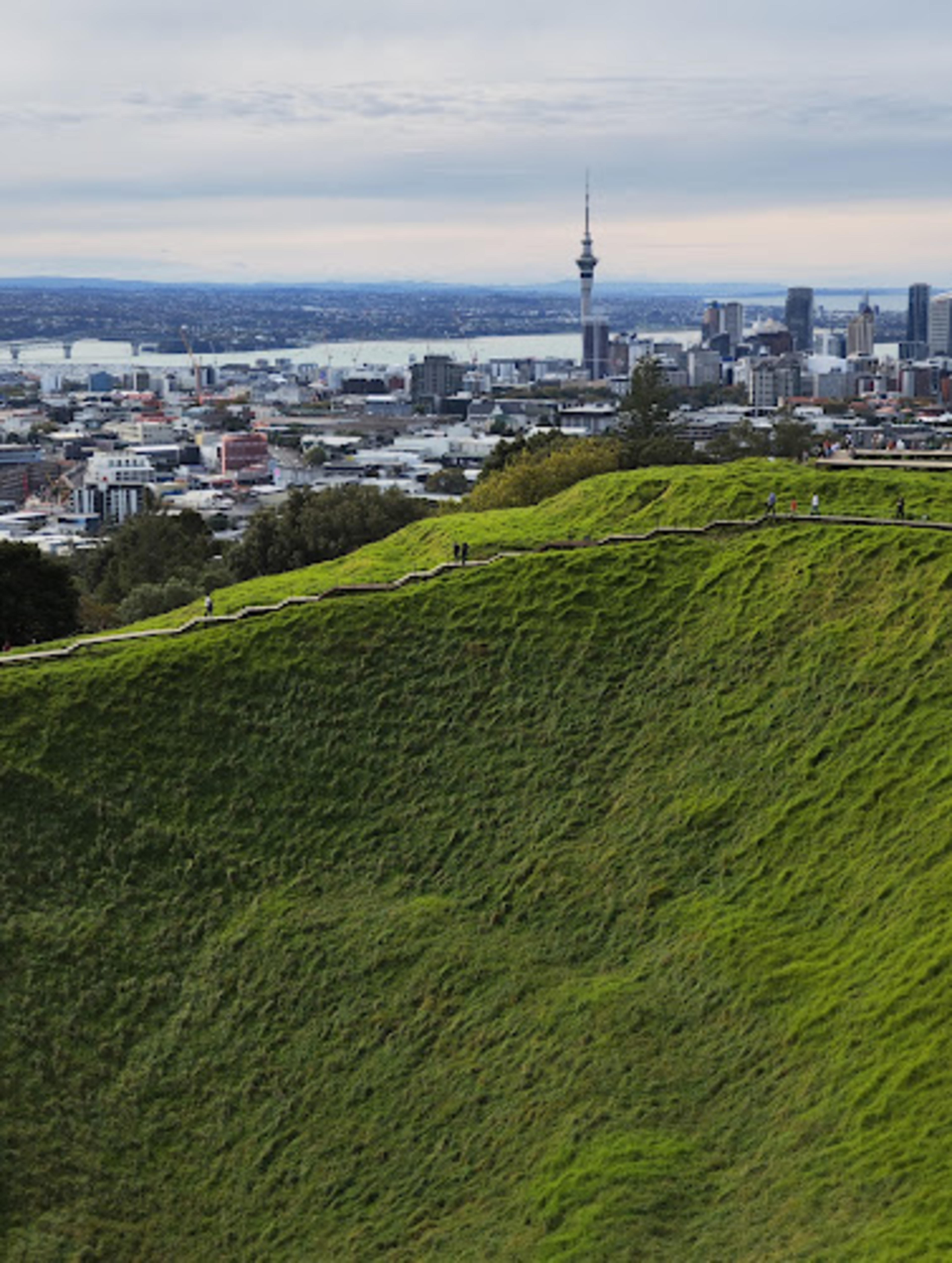 Mount Eden Boardwalk