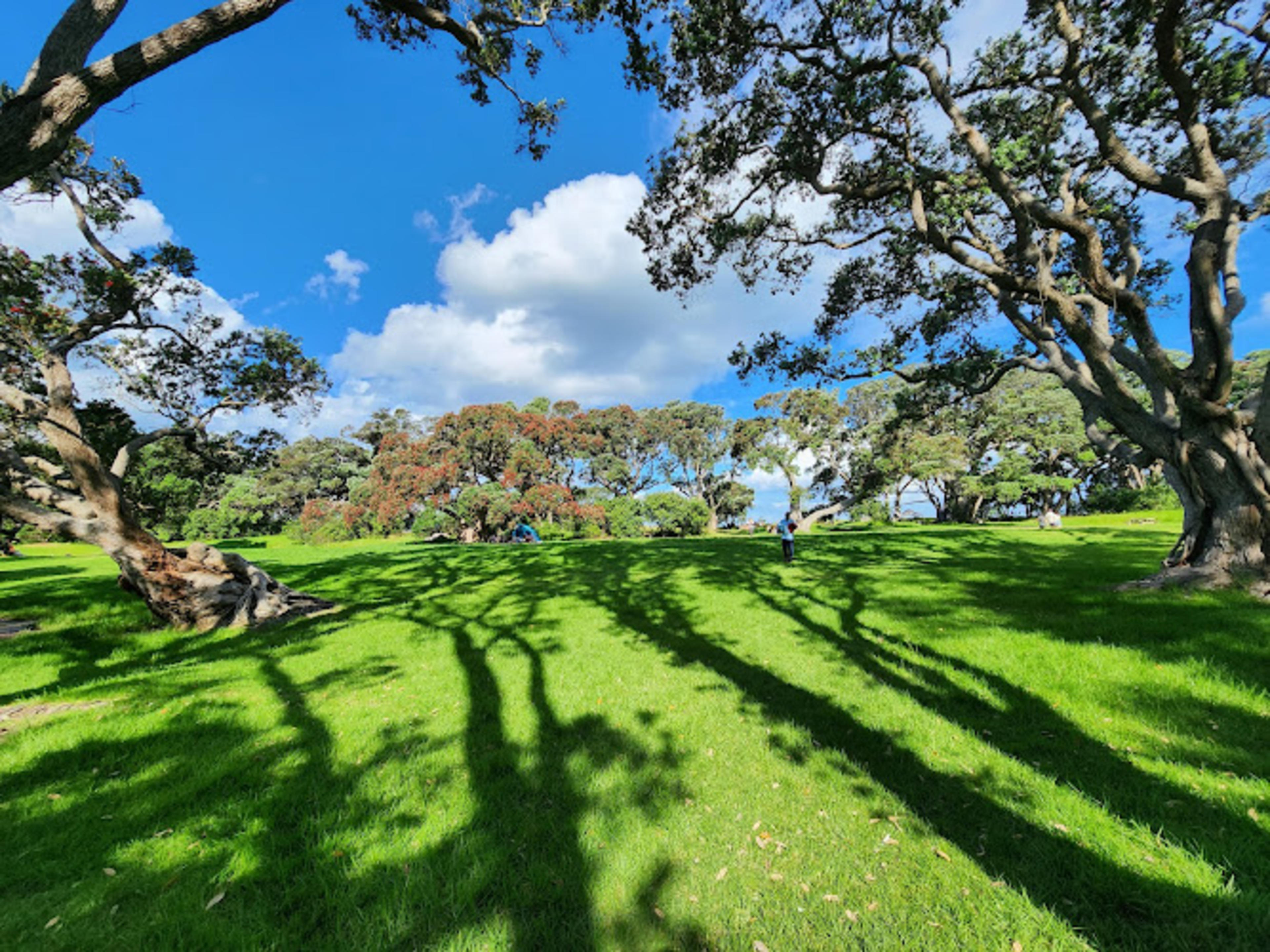 Wenderholm Regional Park
