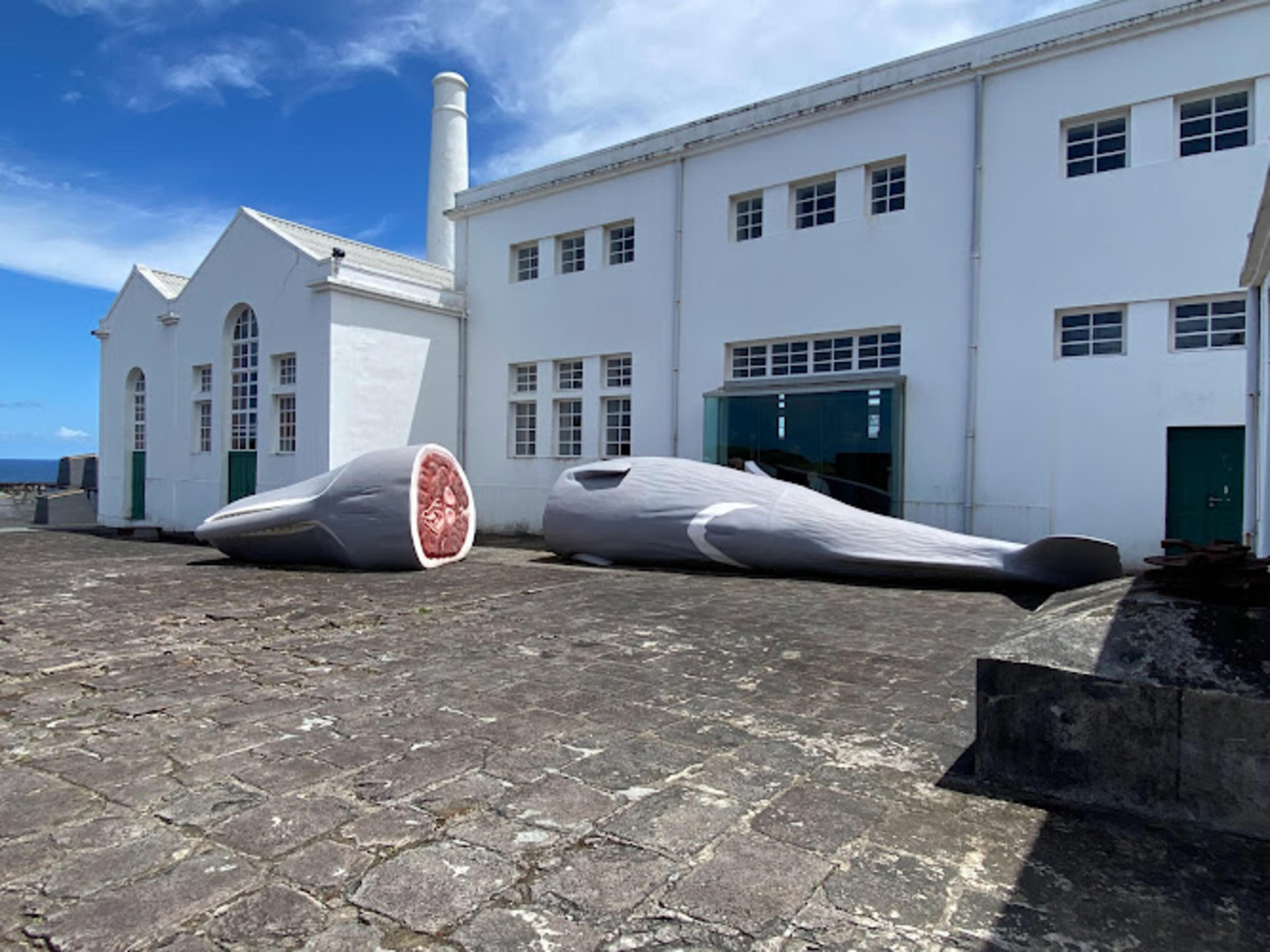 Fábrica da Baleia do Boqueirão