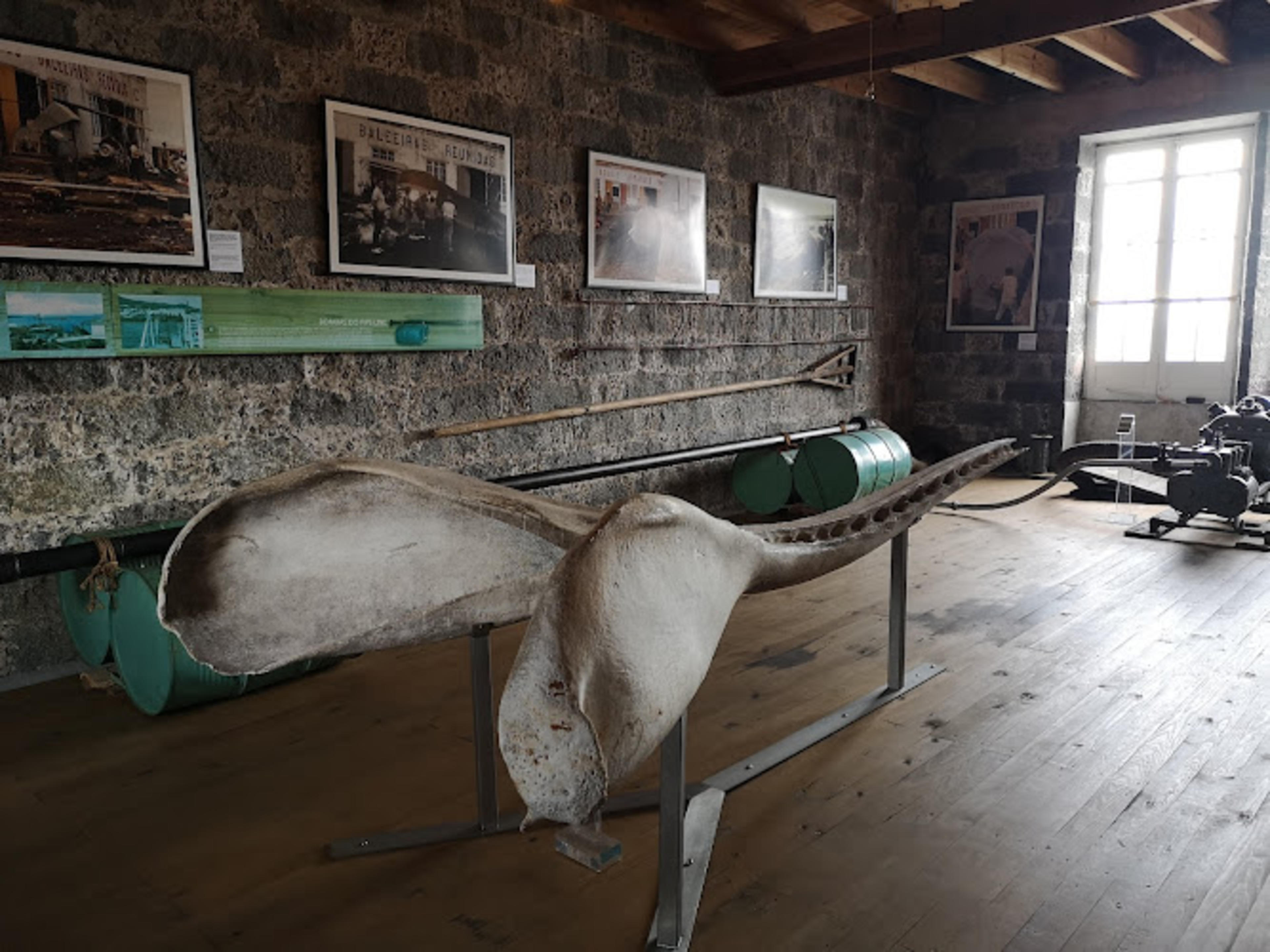 Whaling Industry Museum