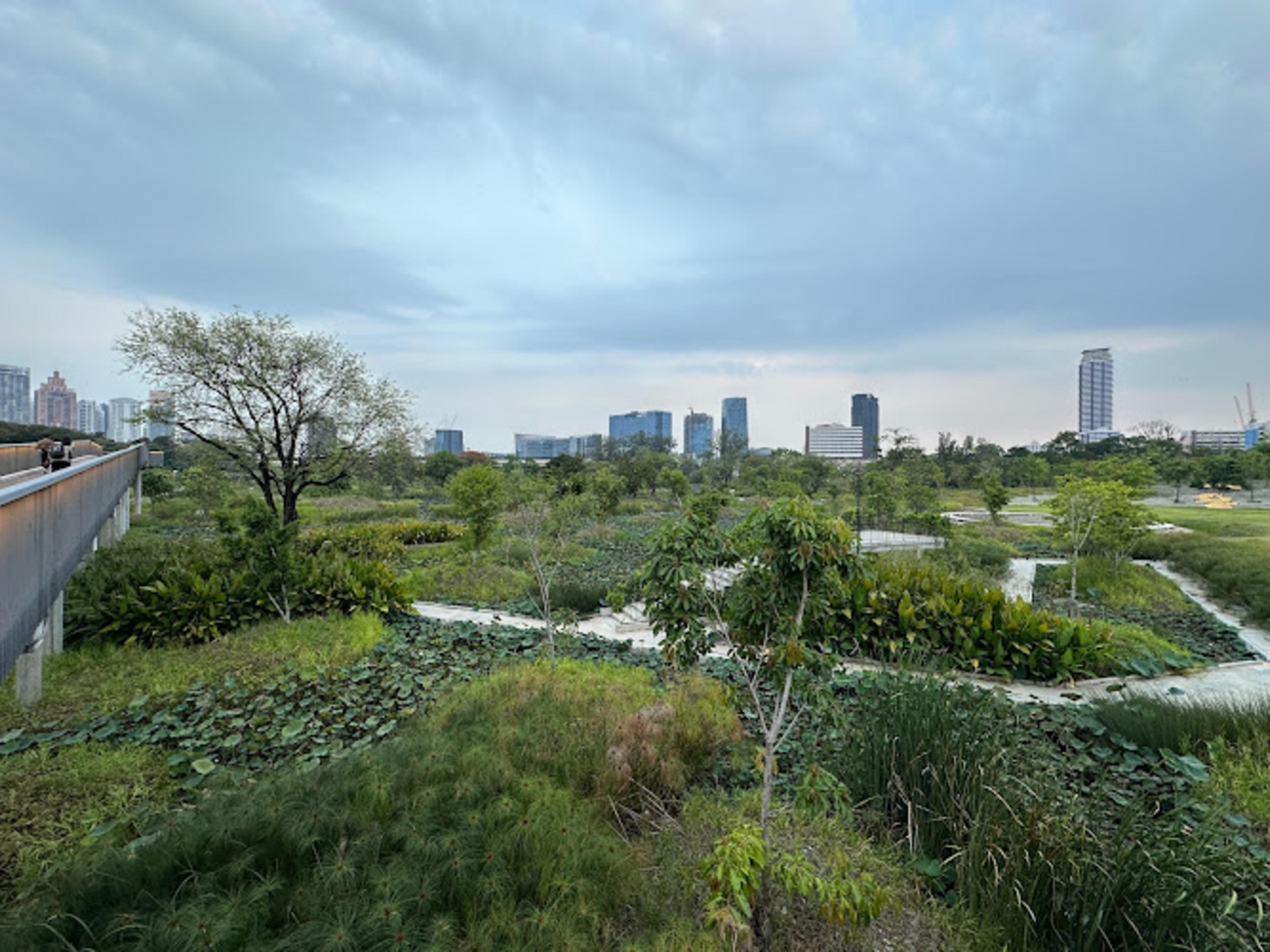 Bangkok Linear Park