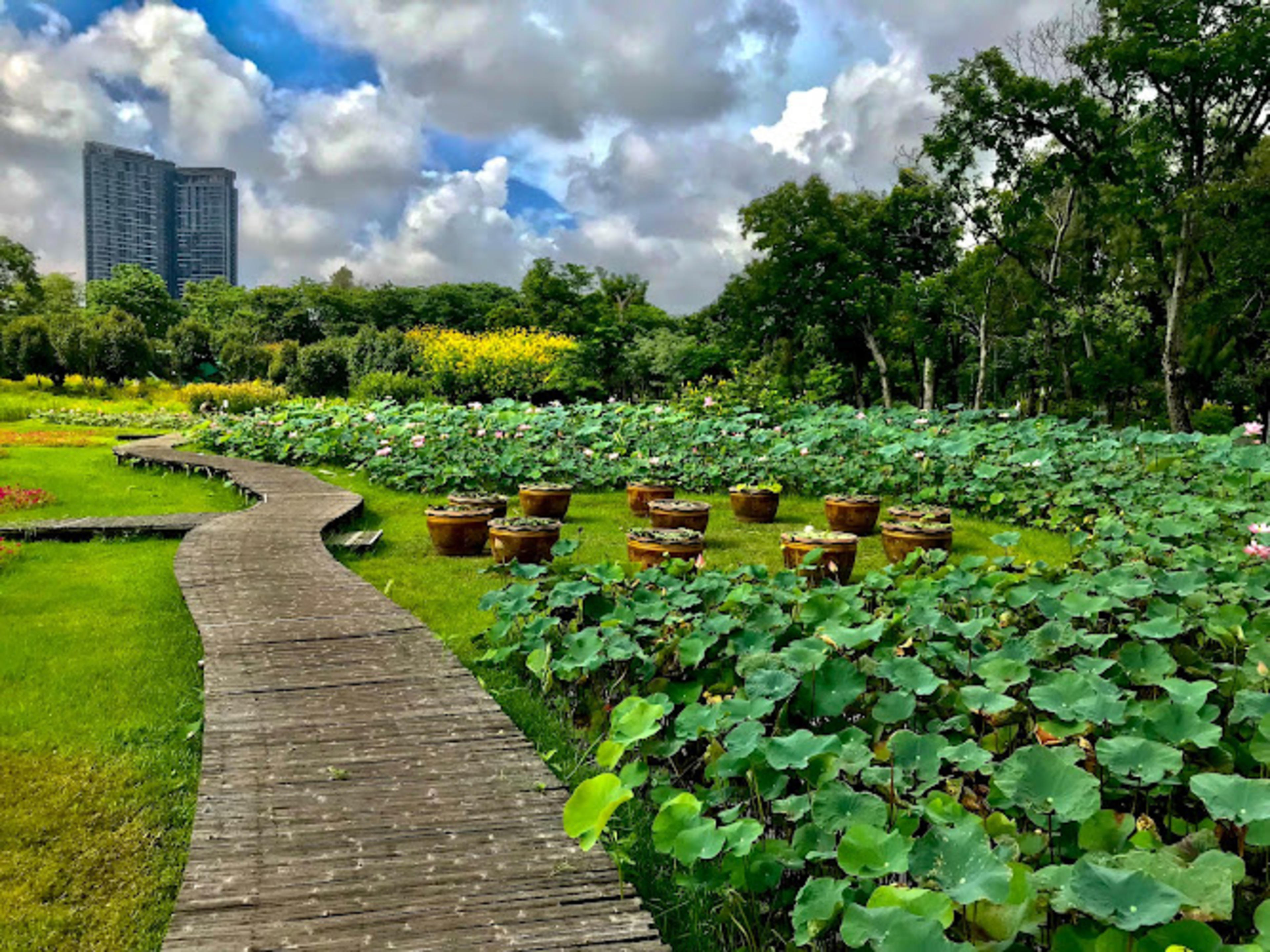 Wachirabenchathat Park (Rot Fai Park)