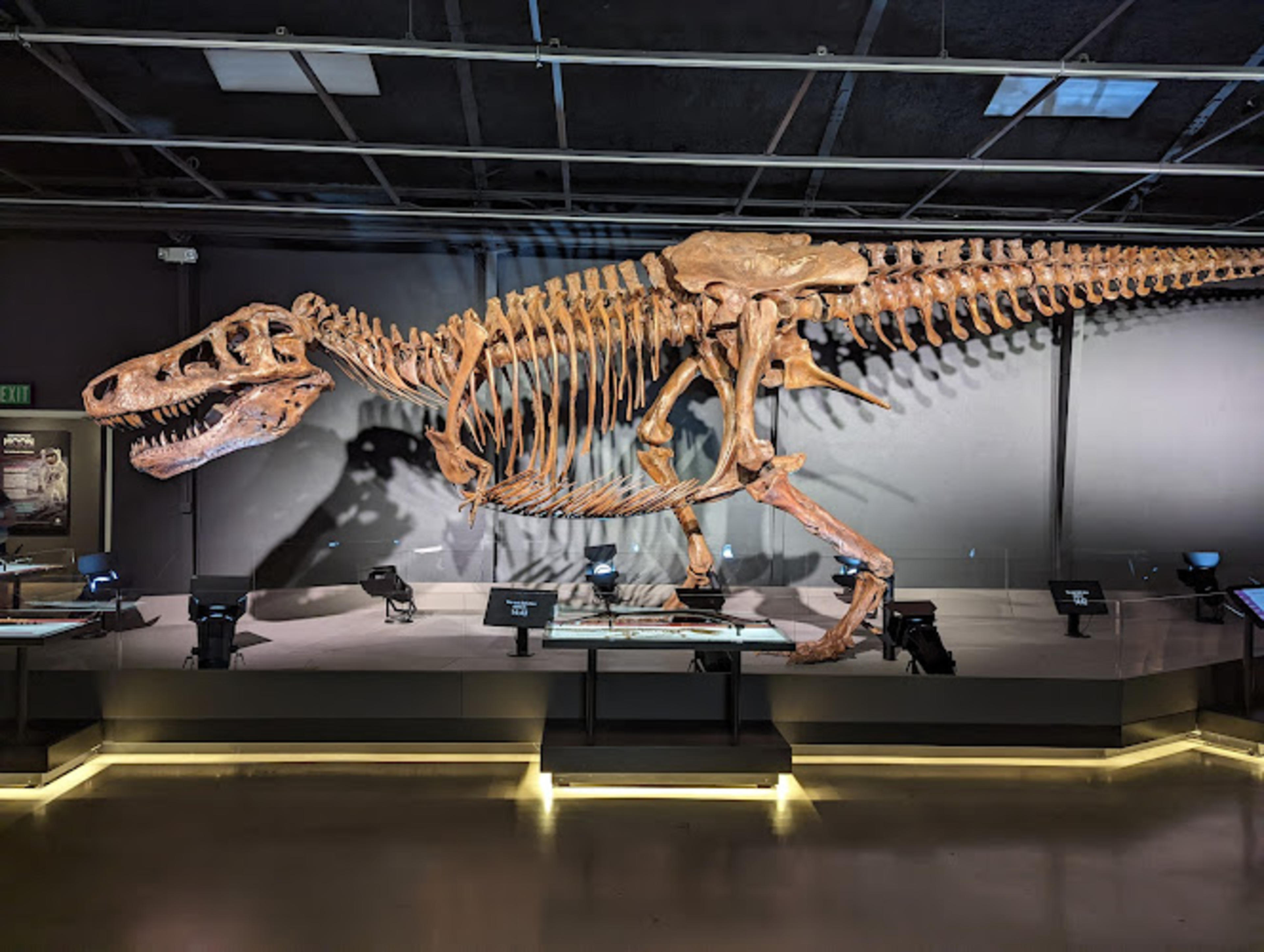 Discovery Center of Idaho