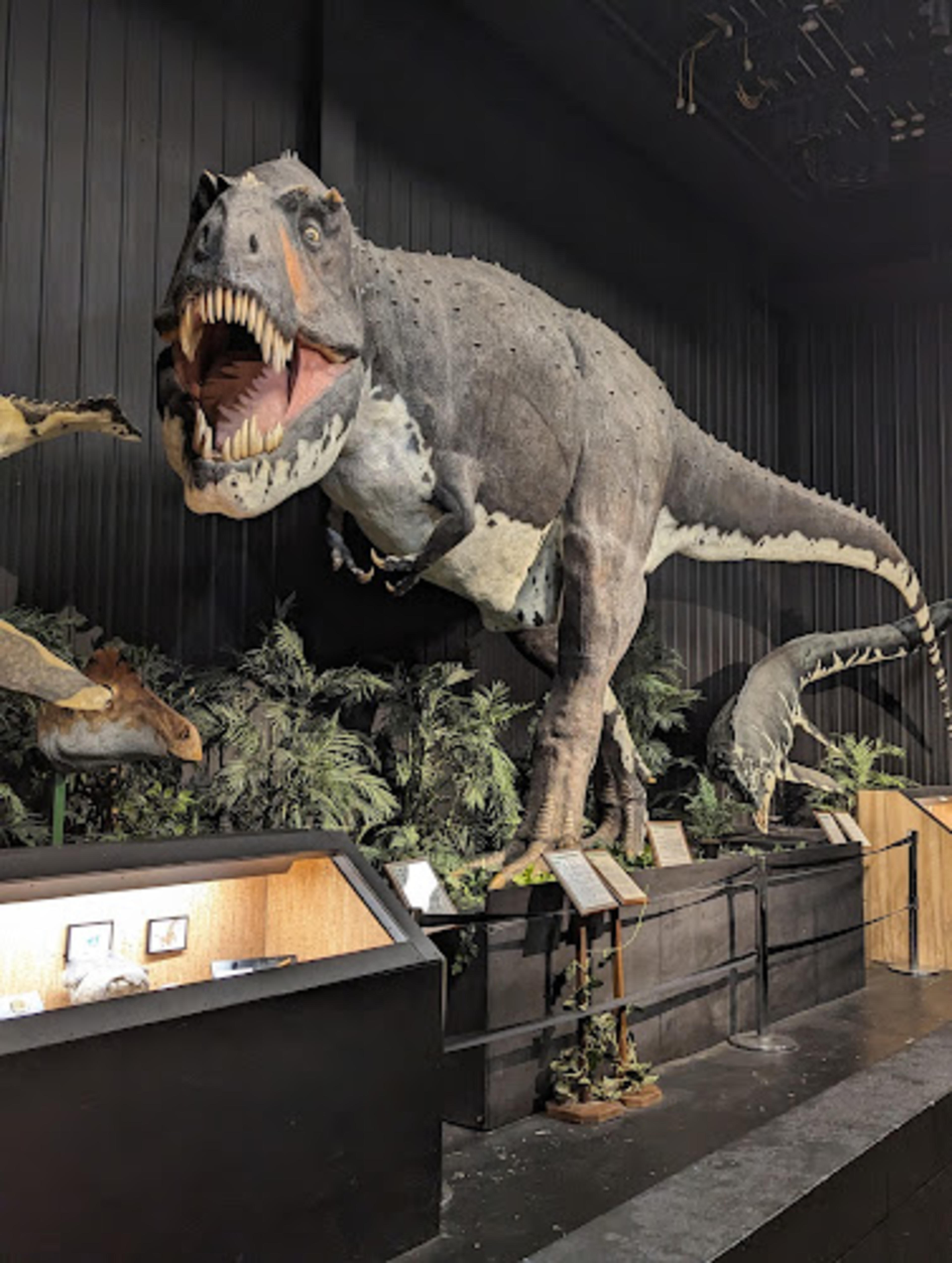 Dinosaur Museum