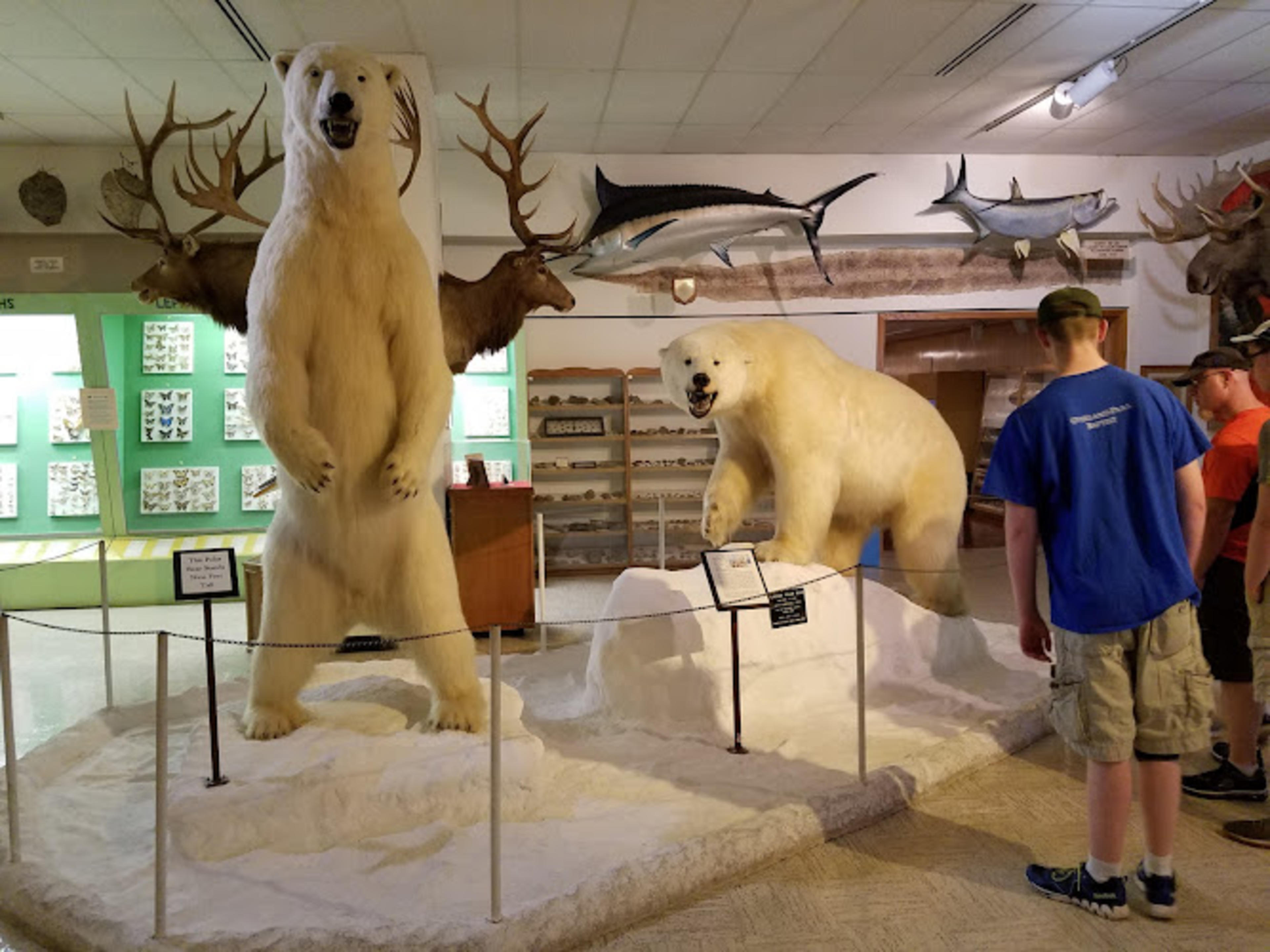 Ralph Foster Museum