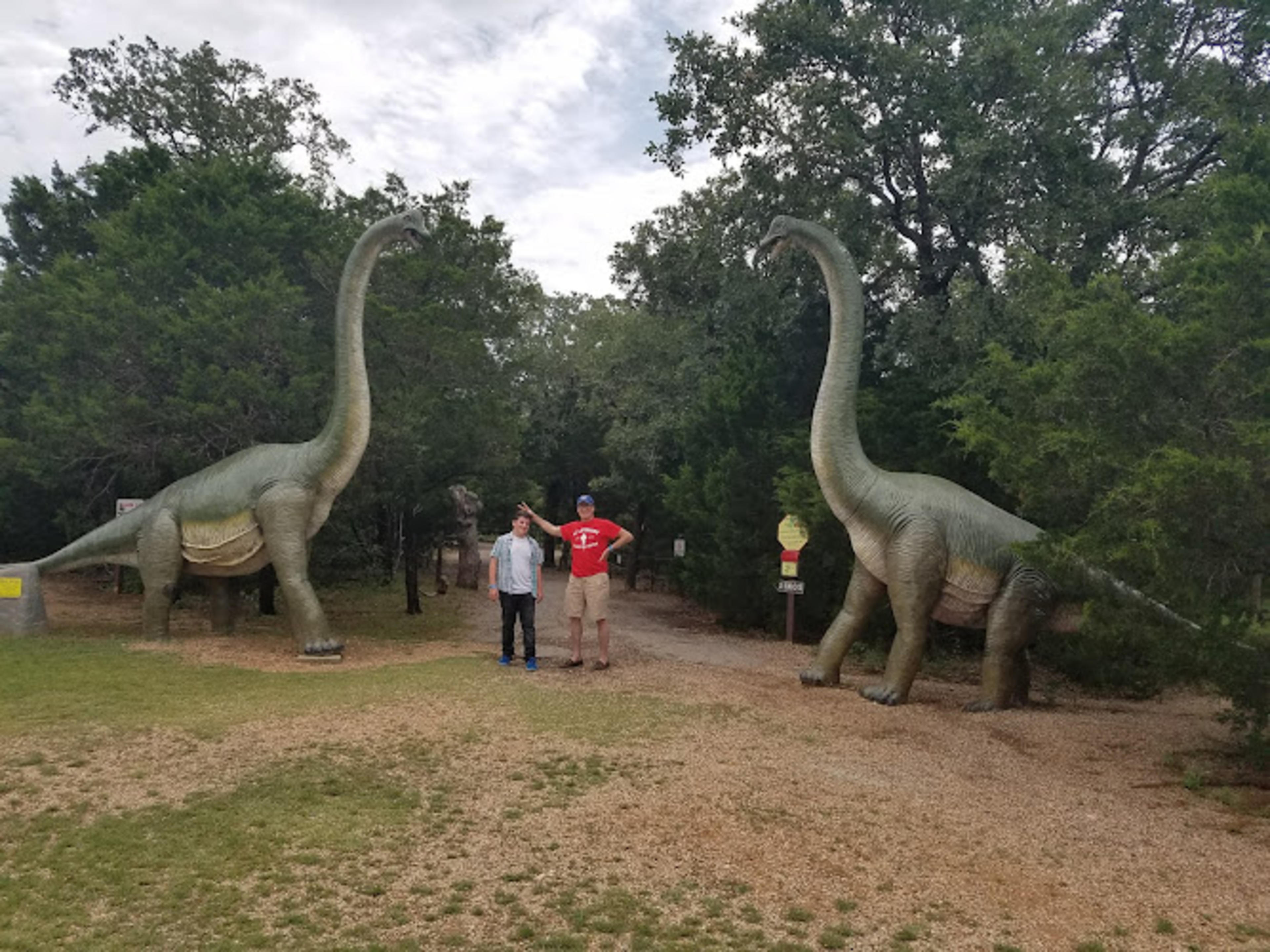 The Dinosaur Park
