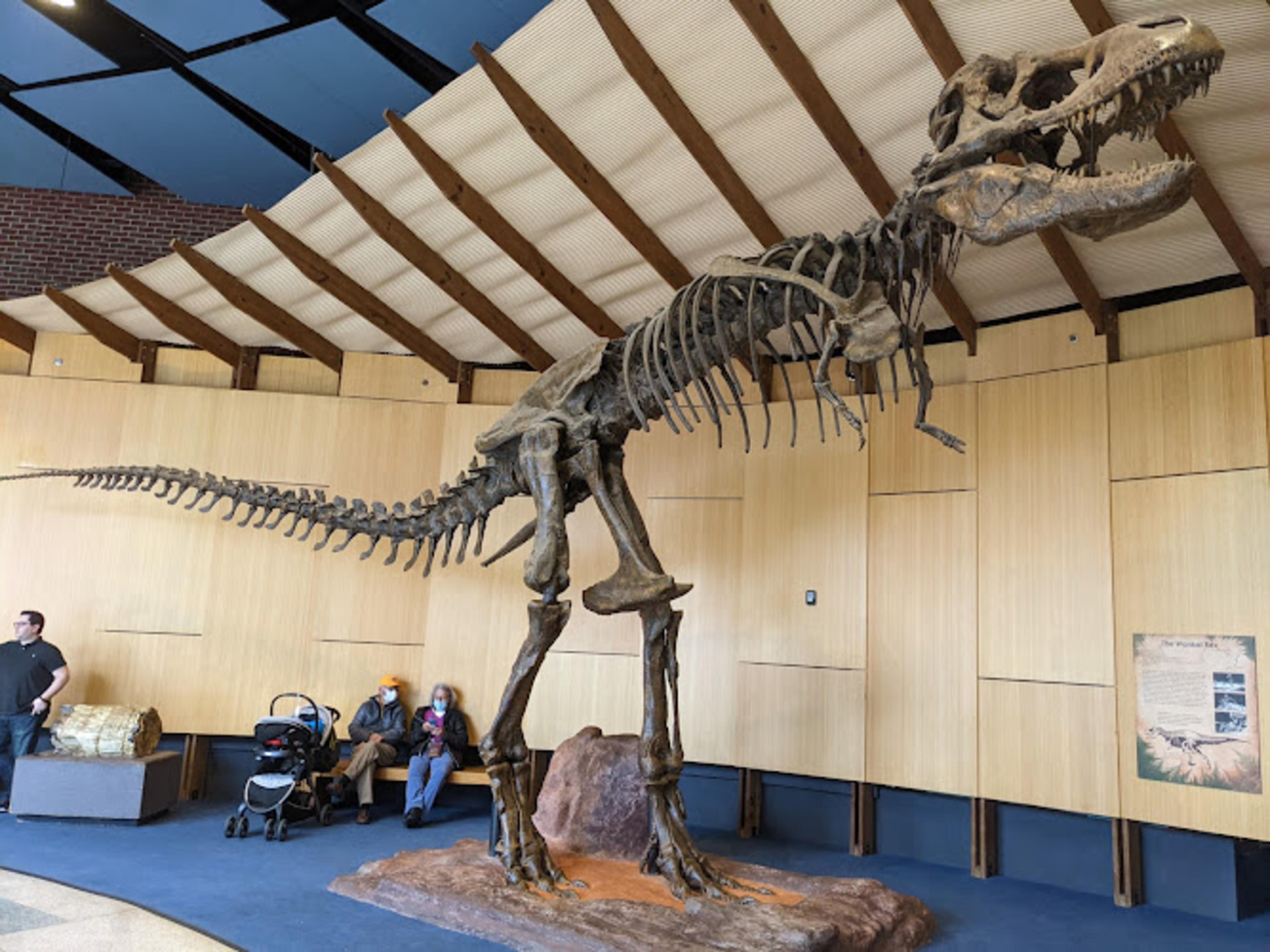 The Schiele Museum of Natural History & Planetarium