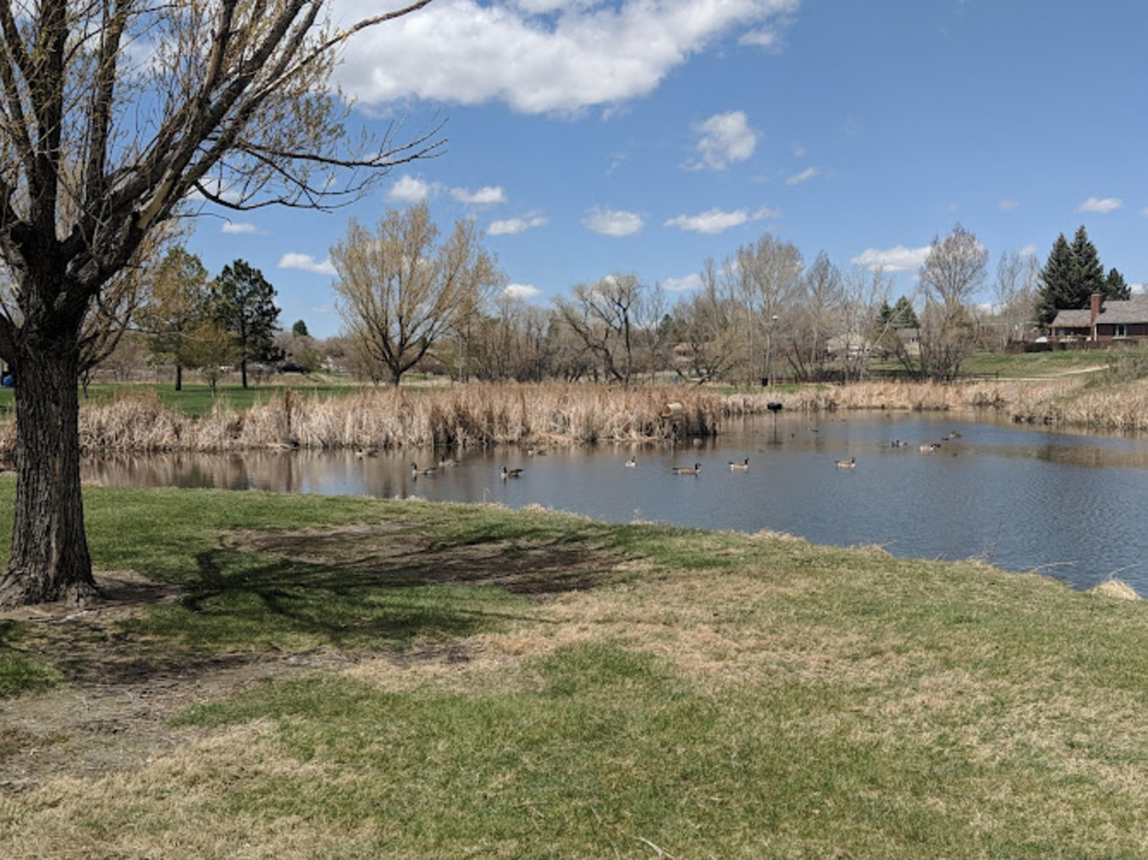 Mylar Park