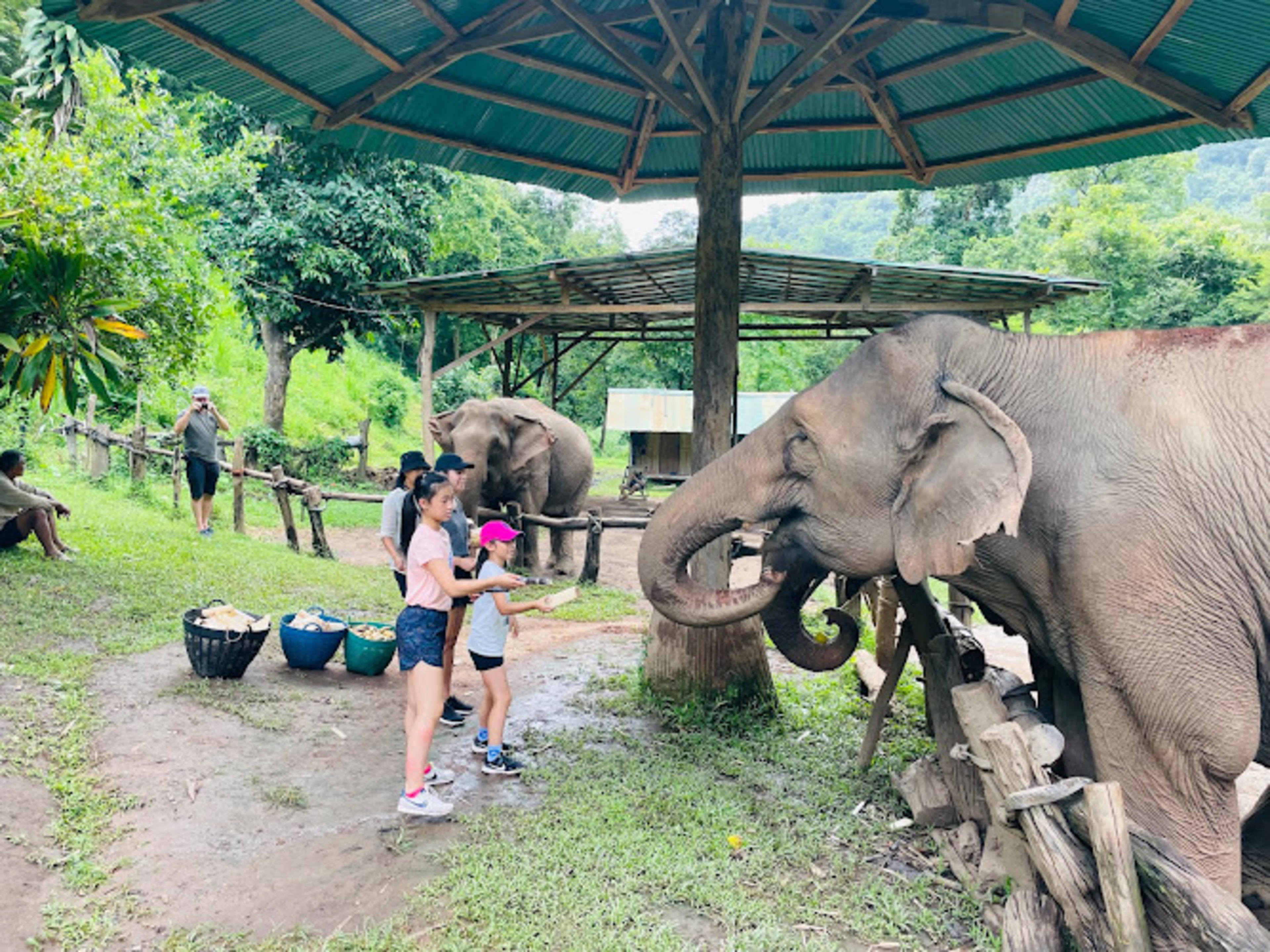 Elephant Pride Sanctuary