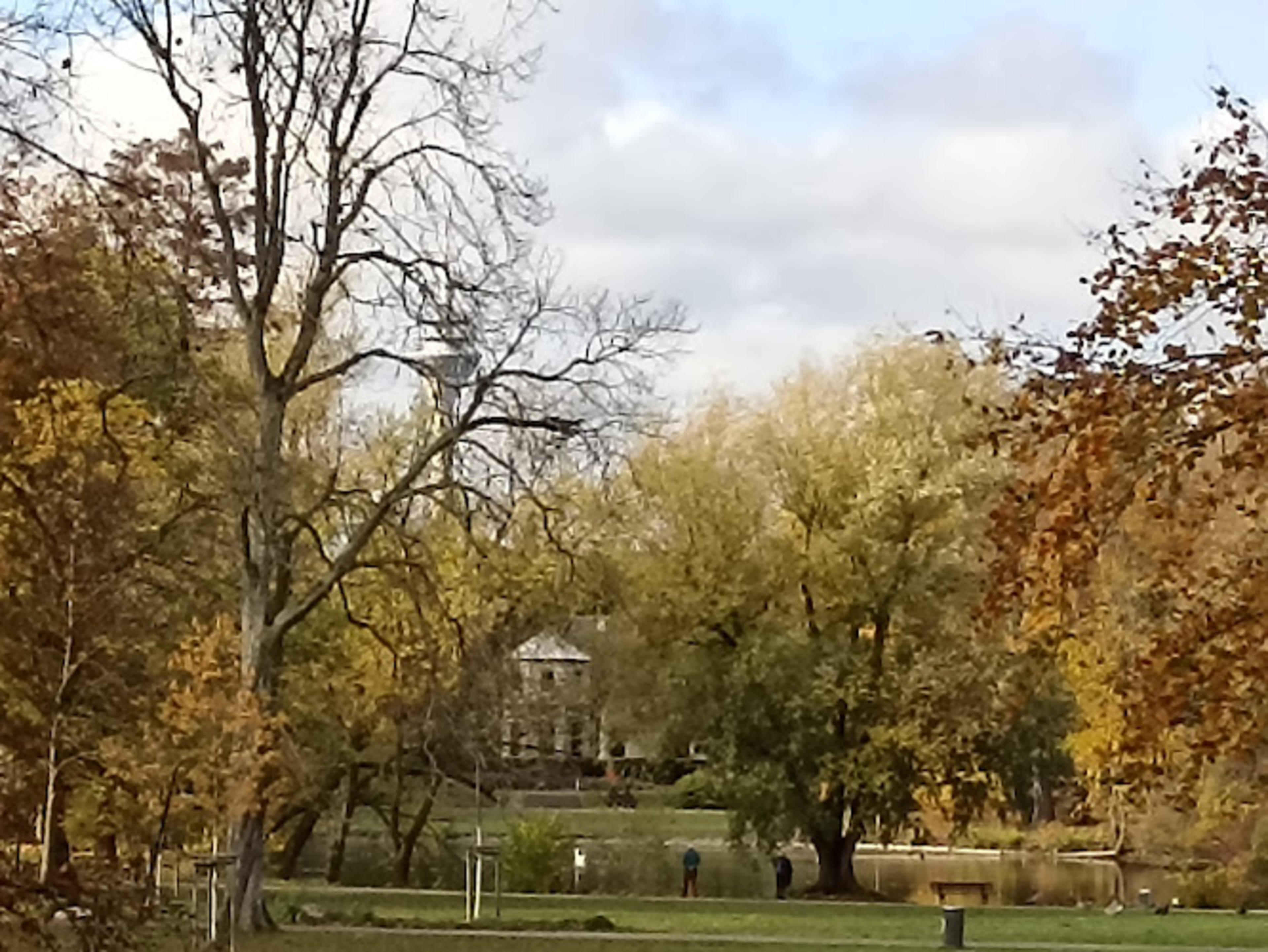 Rheinturm Park View
