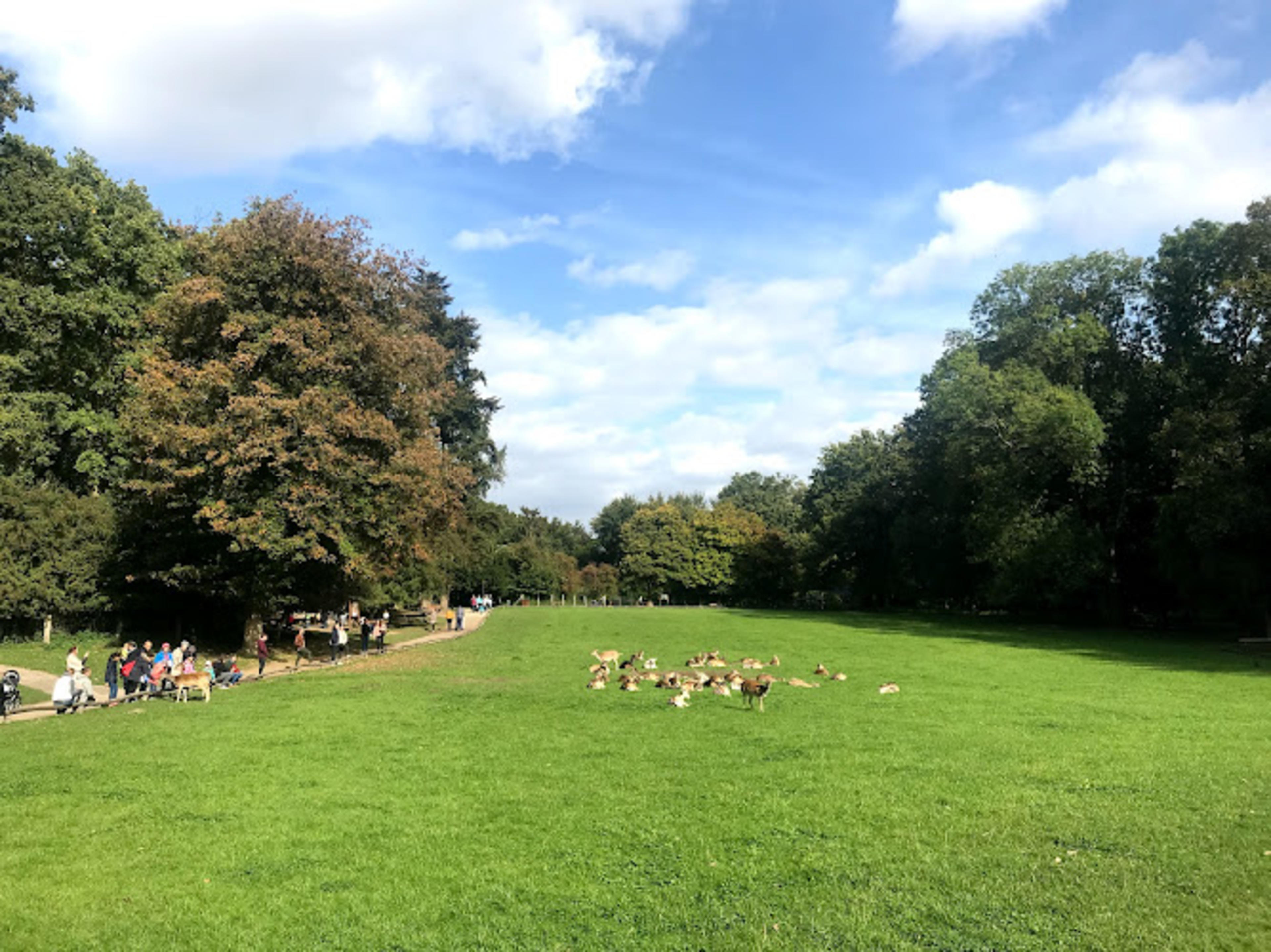 Wildpark Grafenberger Wald