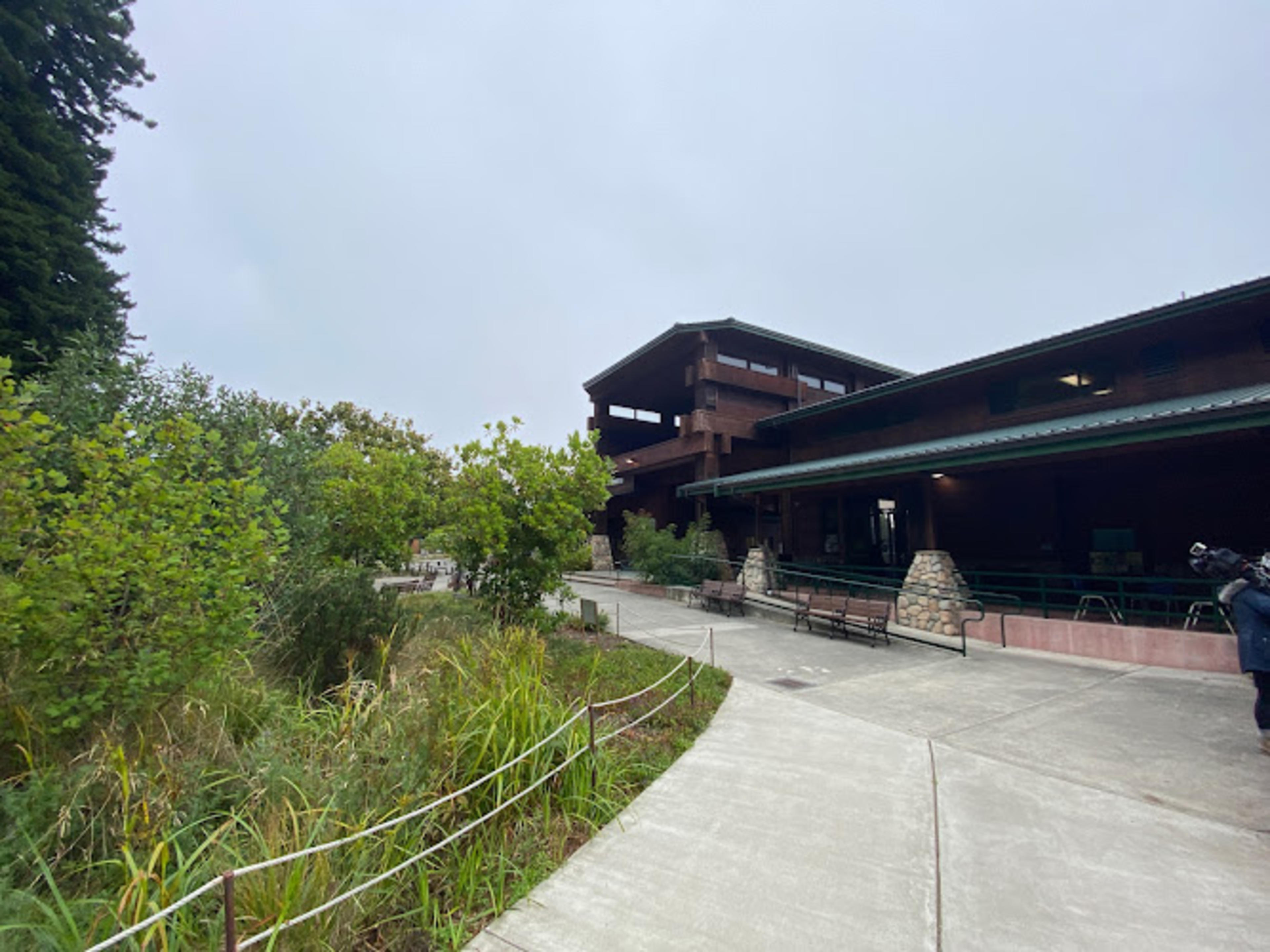 Redwood Sky Walk at Sequoia Park Zoo